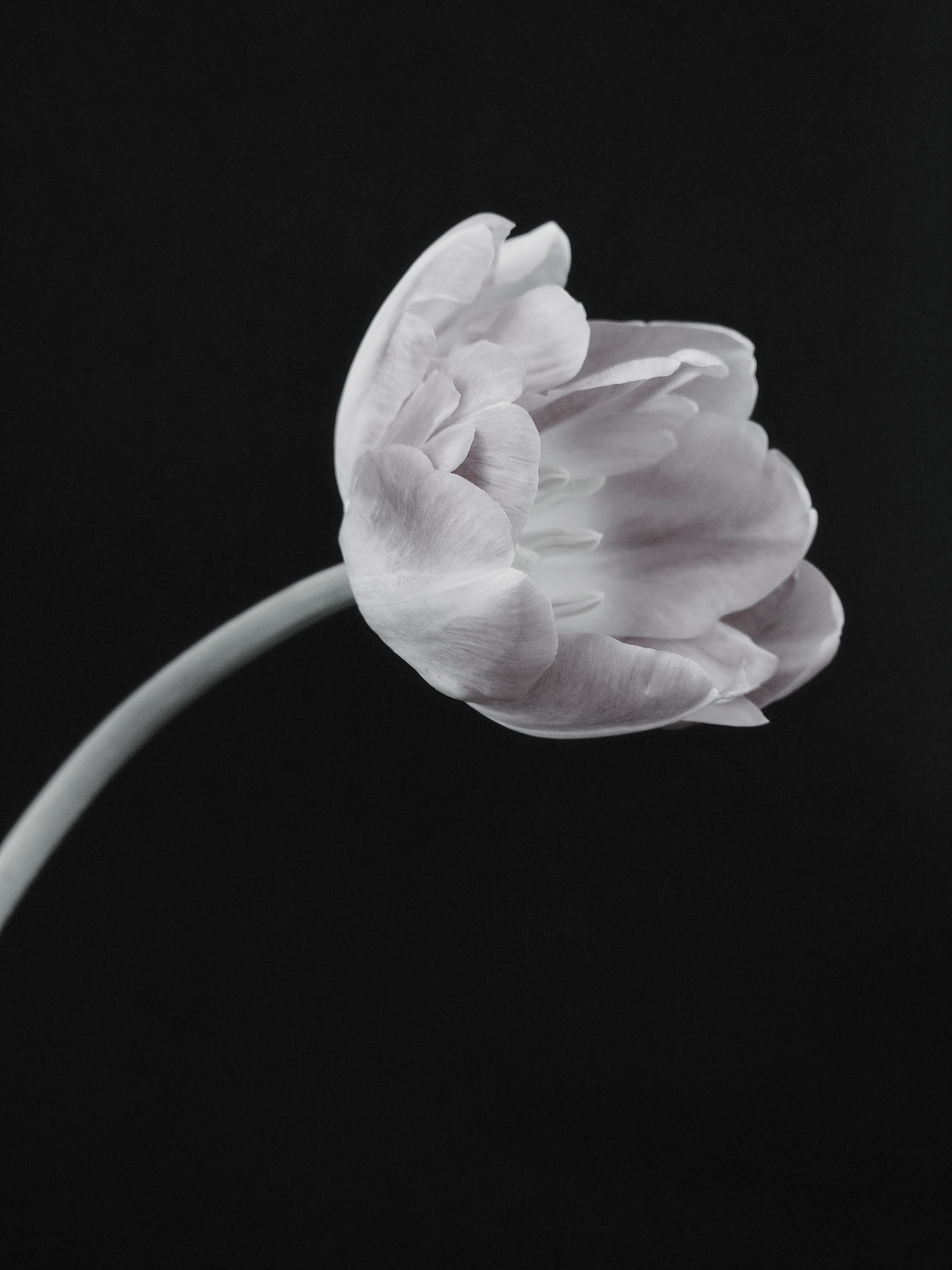 Фотограф из Санкт-Петербурга/Катерина Зайцева