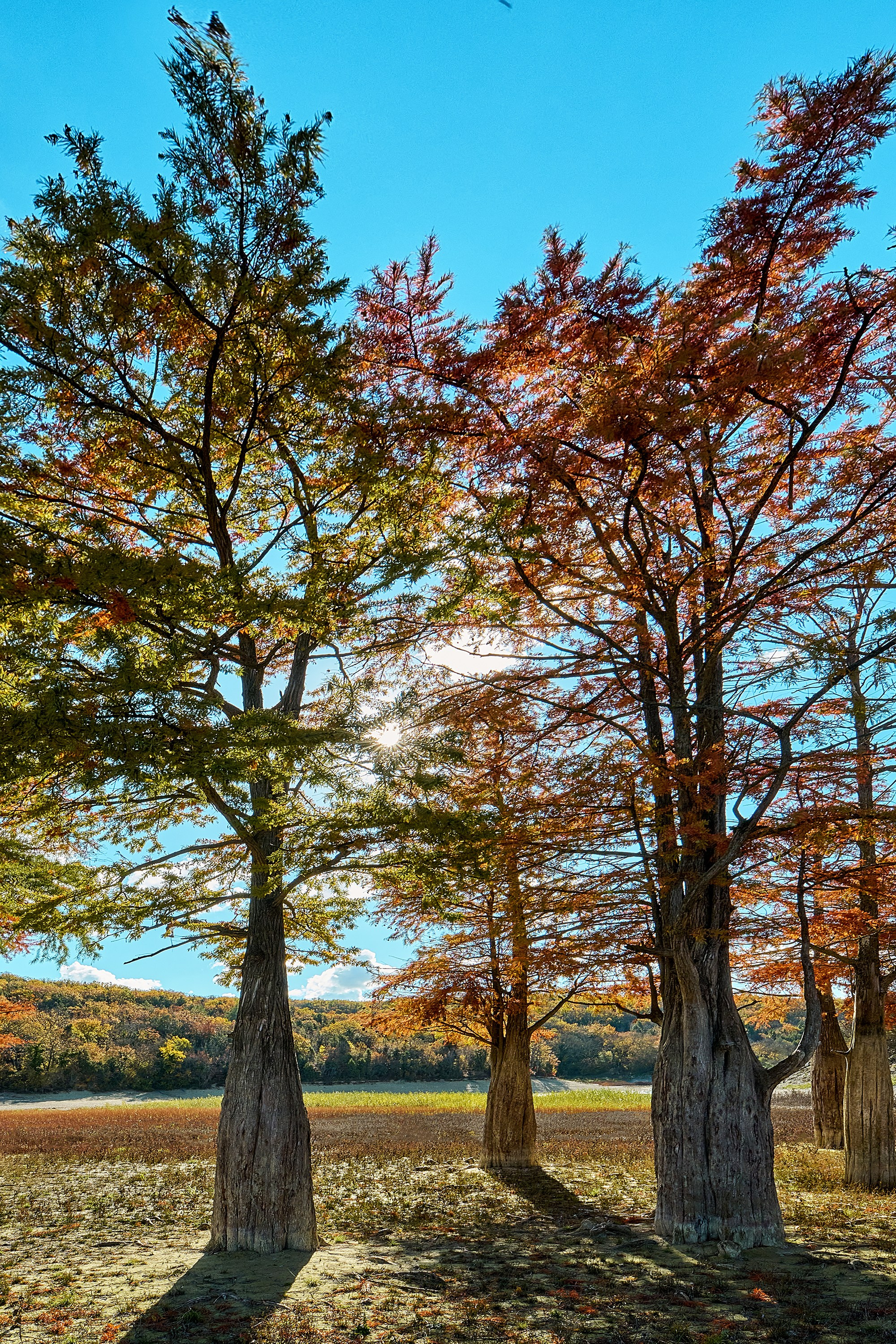 Пейзажи. Яркие фото на Чёрном море