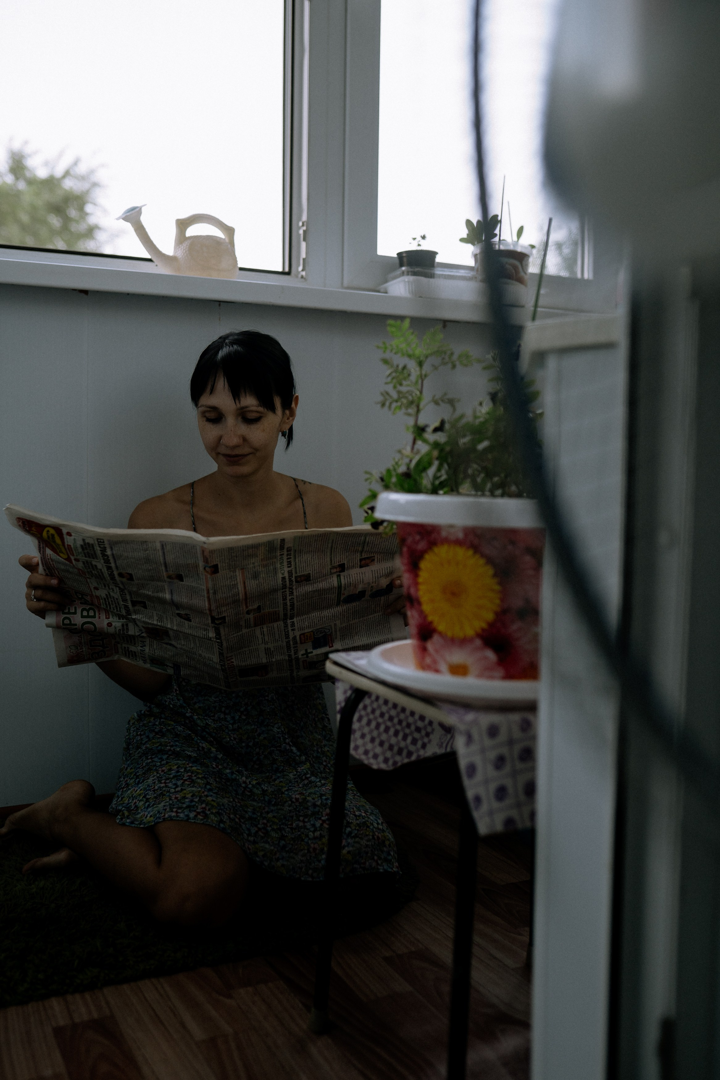 Мир, где рожден помидор. Андрейко Надежда