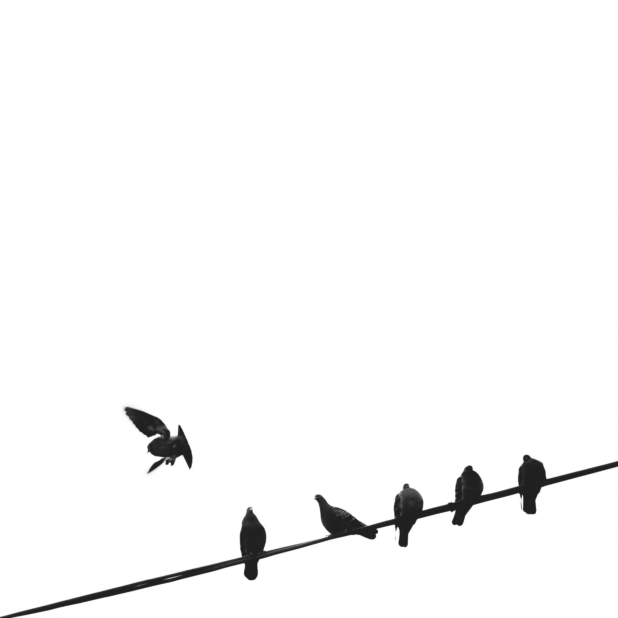 Курс по фотографии Александра Лисицина в Екатеринбурге