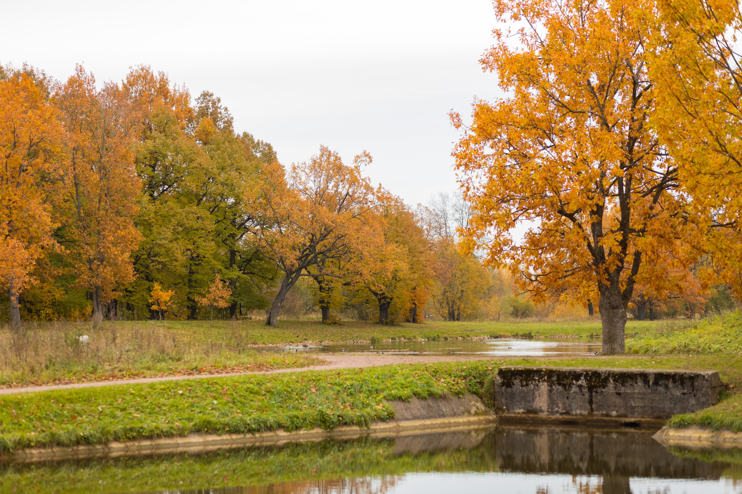 Осеняя фотосессия в Петергофе