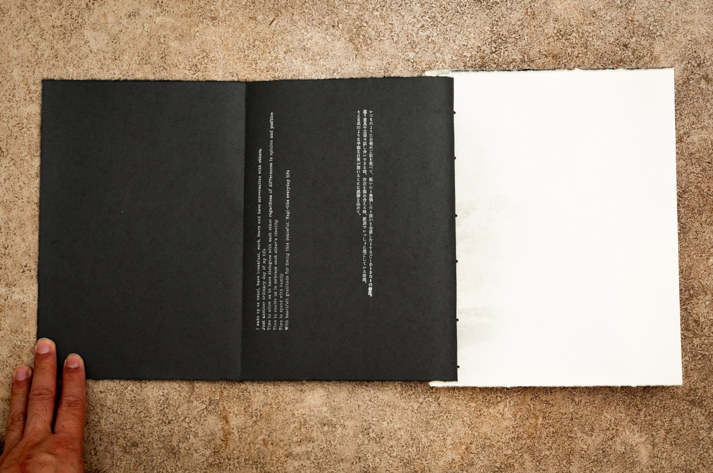 INTERVIEW WITH THE ARTIST: YOSHIKATSU FUJII. Самоорганизация Низина