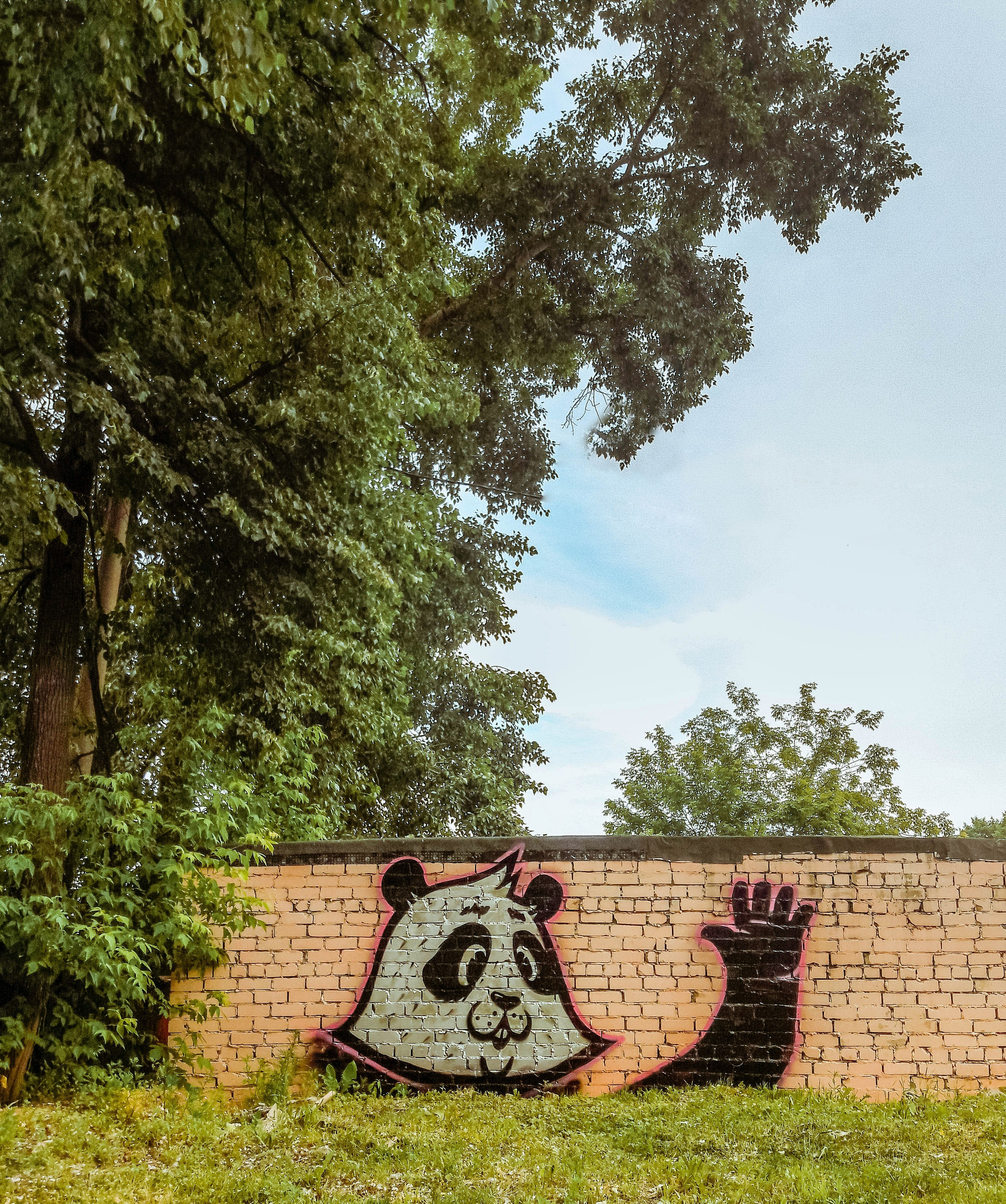 Graffiti. Alexander Stan Shimanov