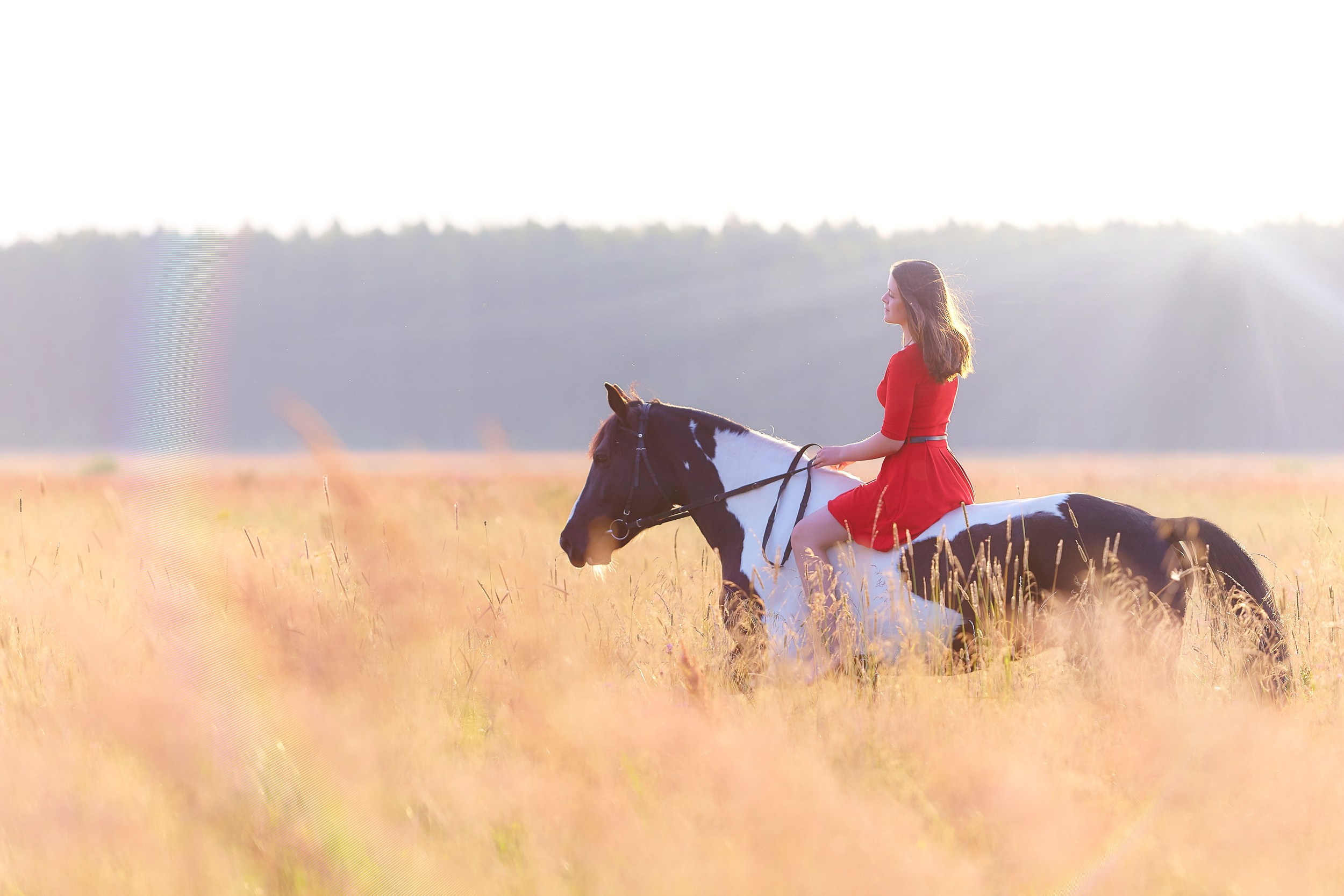 Фотосессия с лошадьми Фотограф Михаил Семенов, г. Ярославль