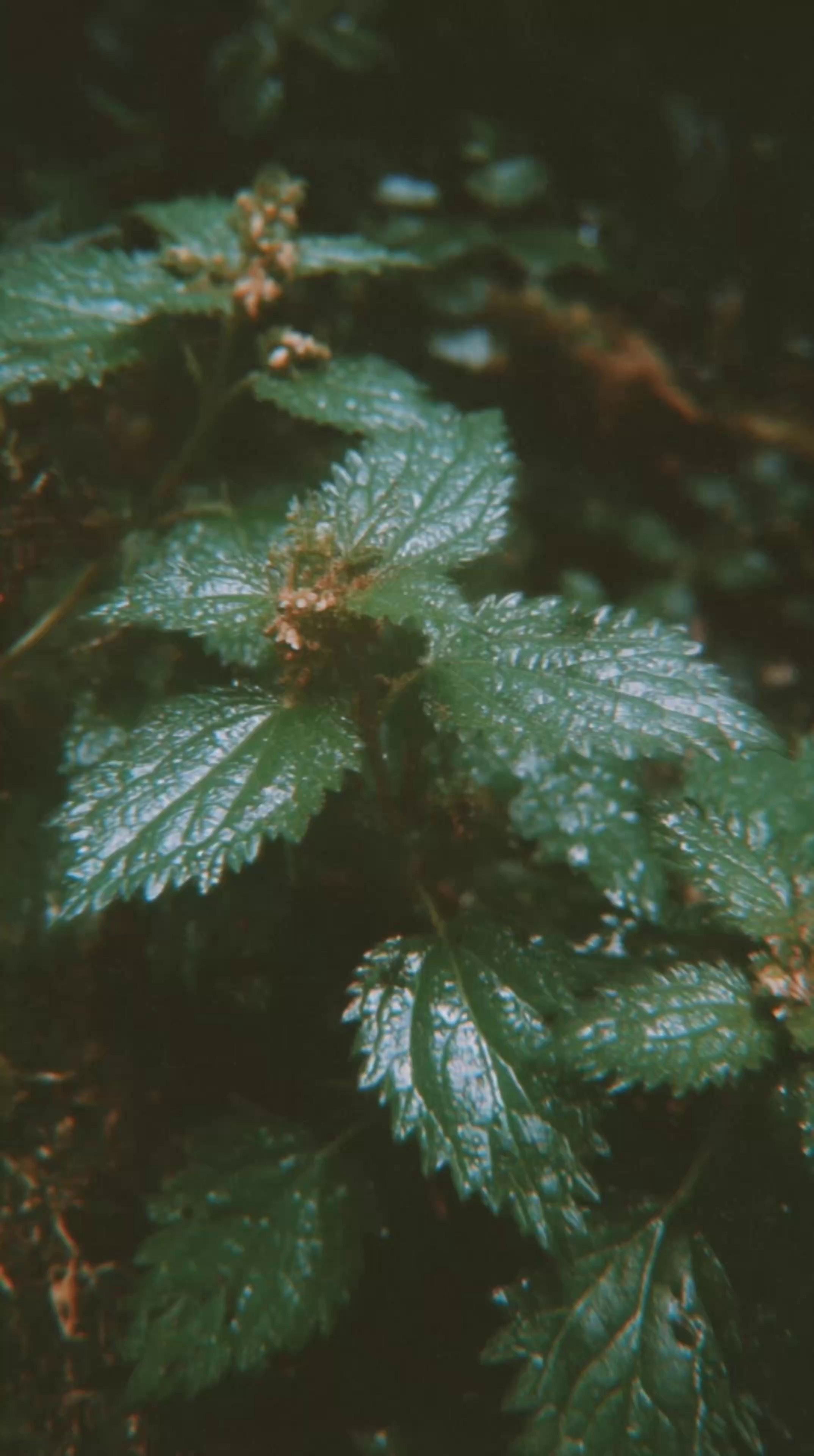 Портфолио | AI-визуал для брендов и экспертов | Екатерина Васковская. Екатерина Васковская | AI-визуал для брендов и экспертов