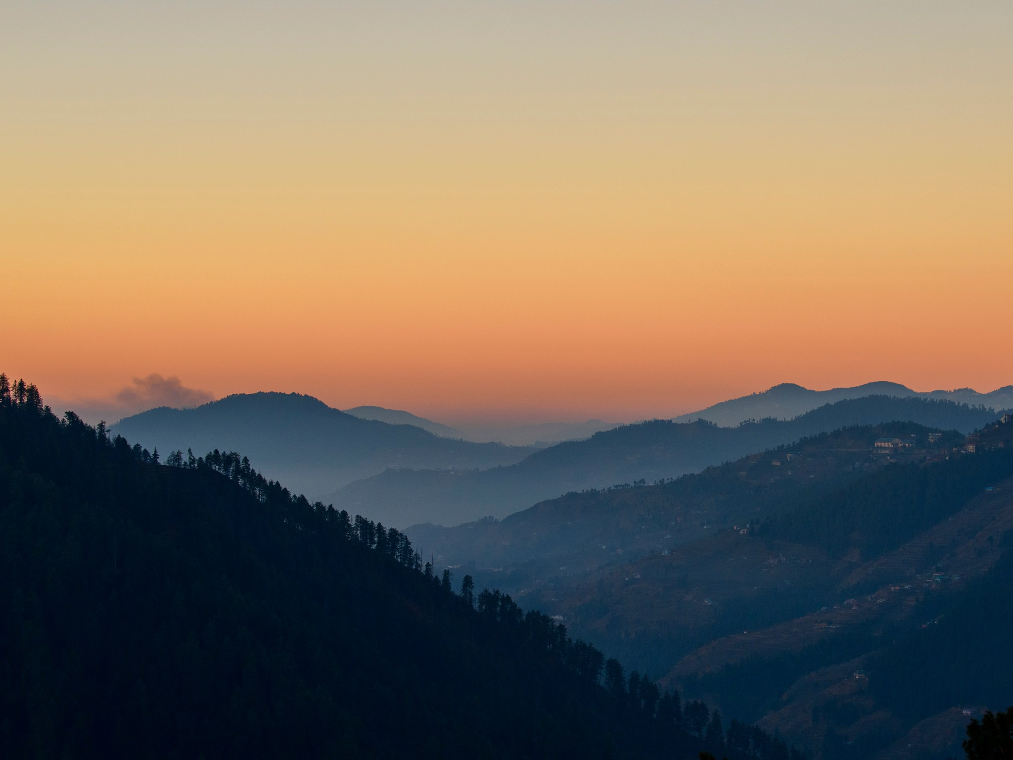 Путешествие в долину Спити: снежные барсы и духовное наследие Гималаев. Wildlife photography by Sergey Puponin