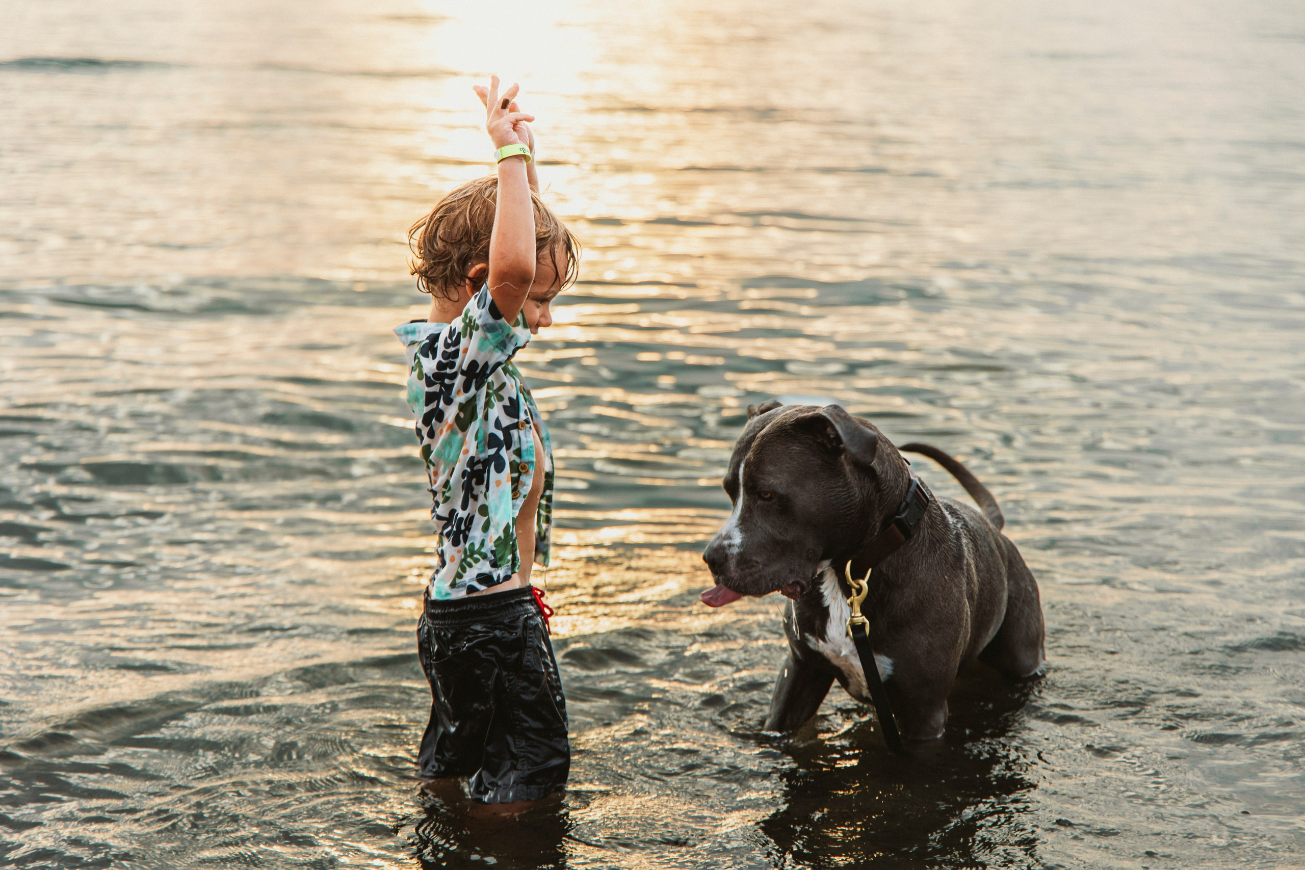 Kate and family. Family Lifestyle Photographer in Lucca, Italia
