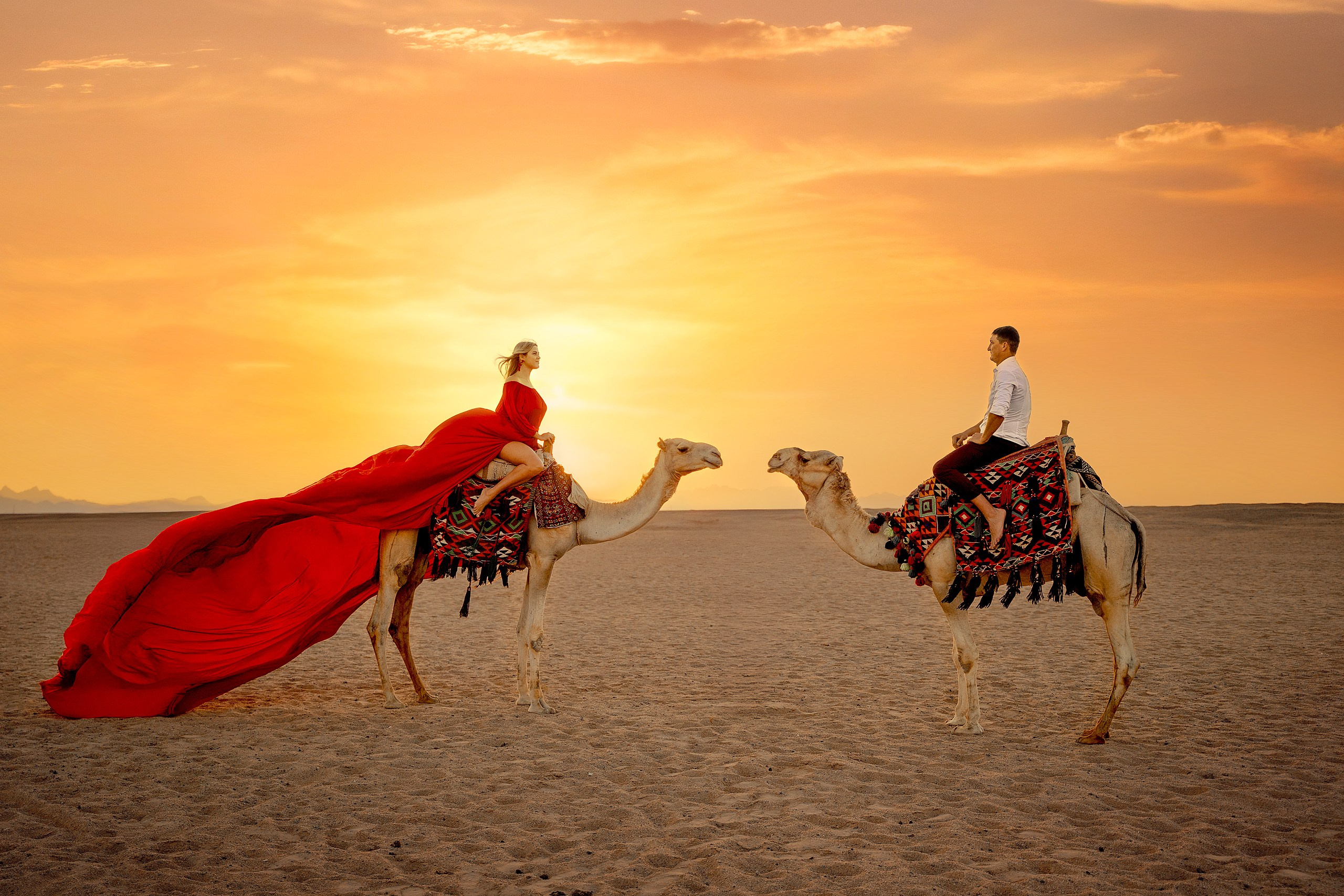Фотосессия с верблюдом. Фотограф в Египте, Хургаде, Луксоре, Сафаге. Фотограф по всему миру