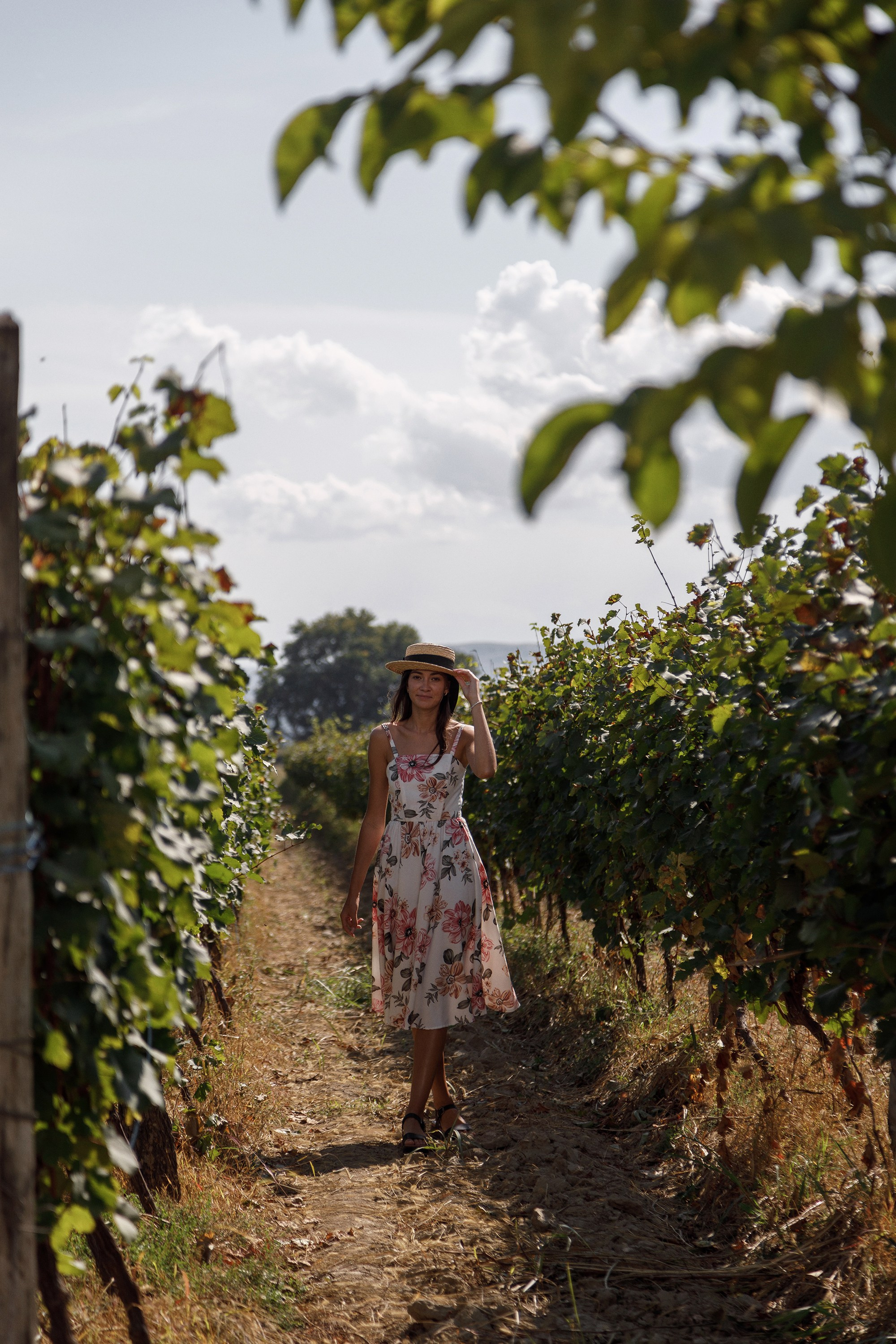 Интересные места Кахетии