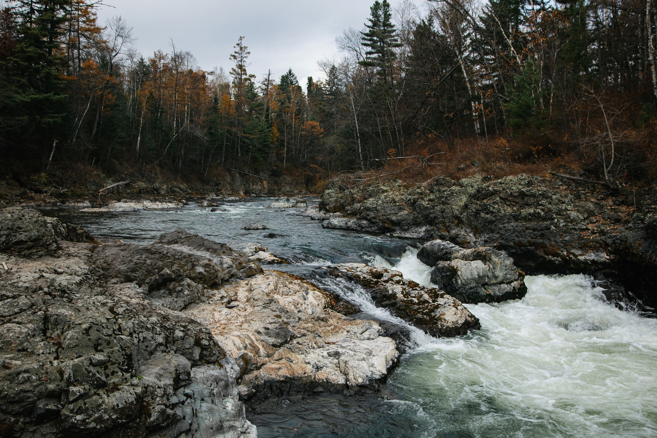 Пока не застроили. Evgeniya Kokurina