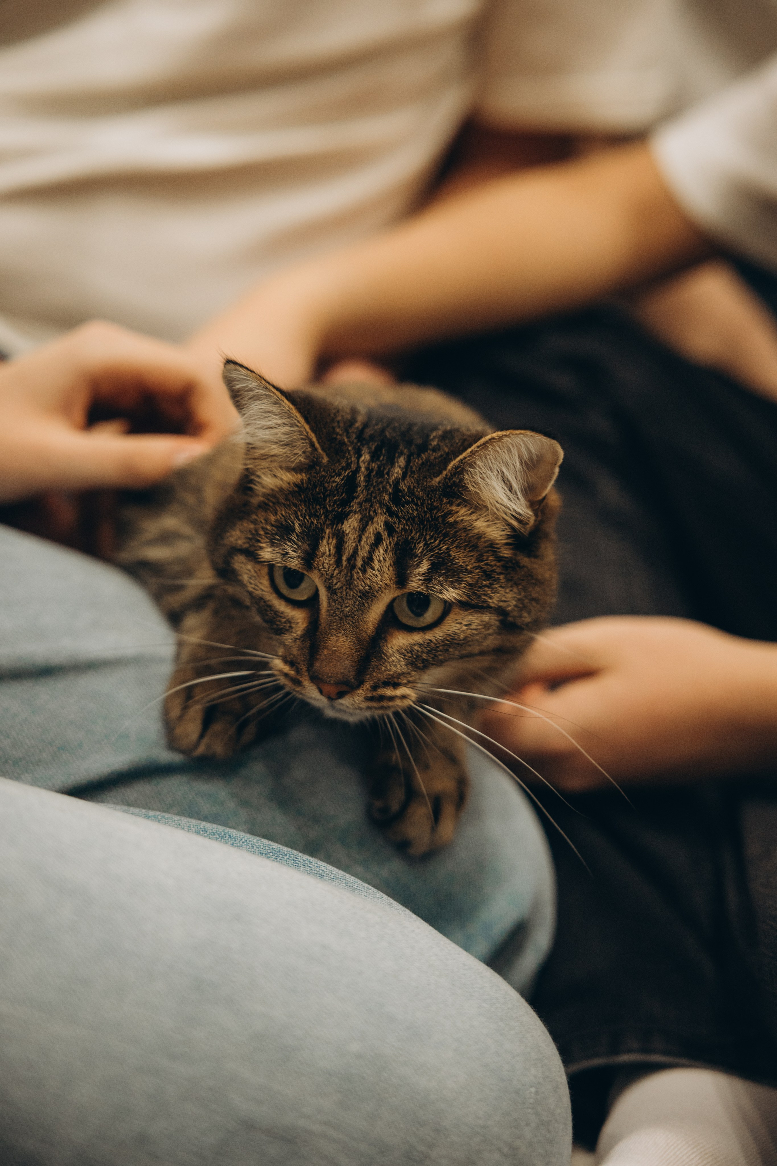Дома. Свадебный, семейный фотограф в Иркутске Светлана Макаричева