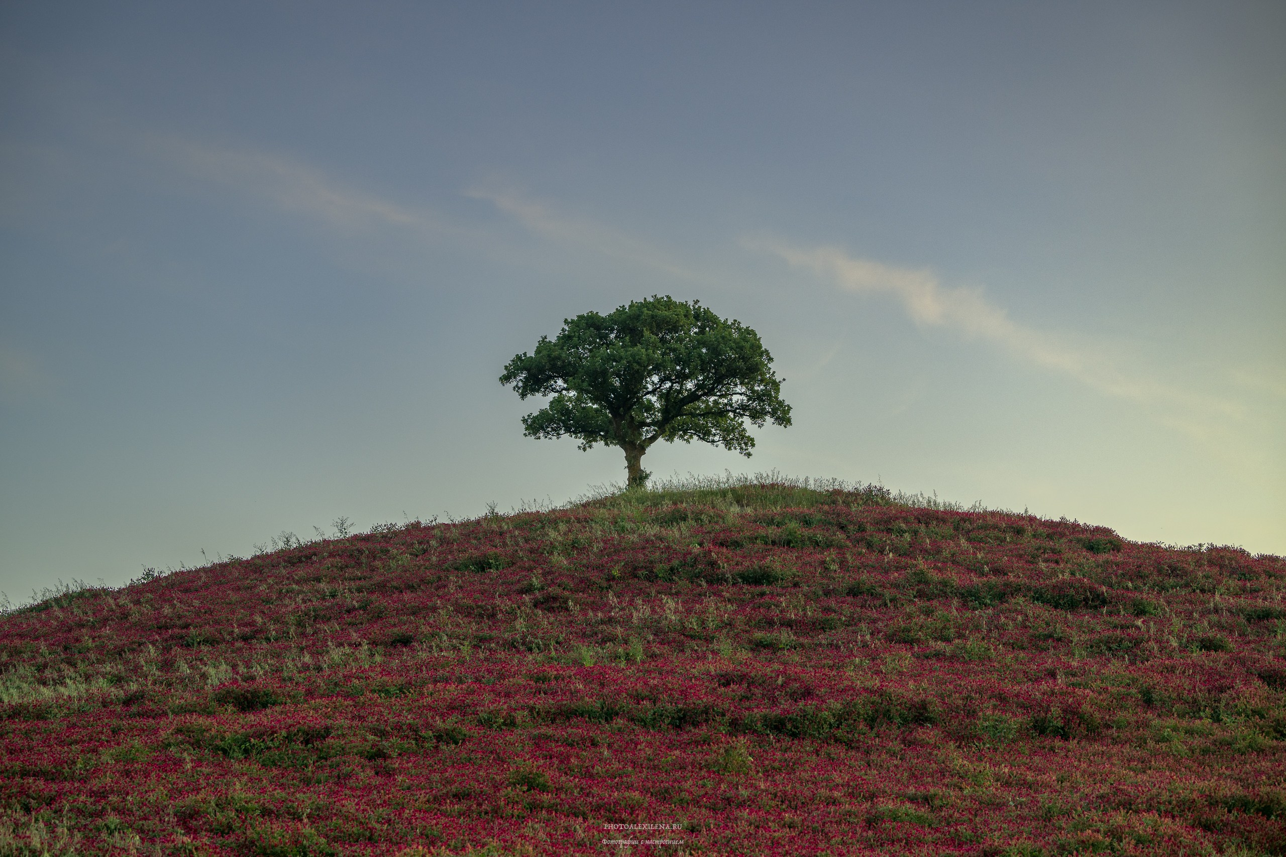 Долина Крете Сенези (Crete Senesi). Авторские стильные фотокартины