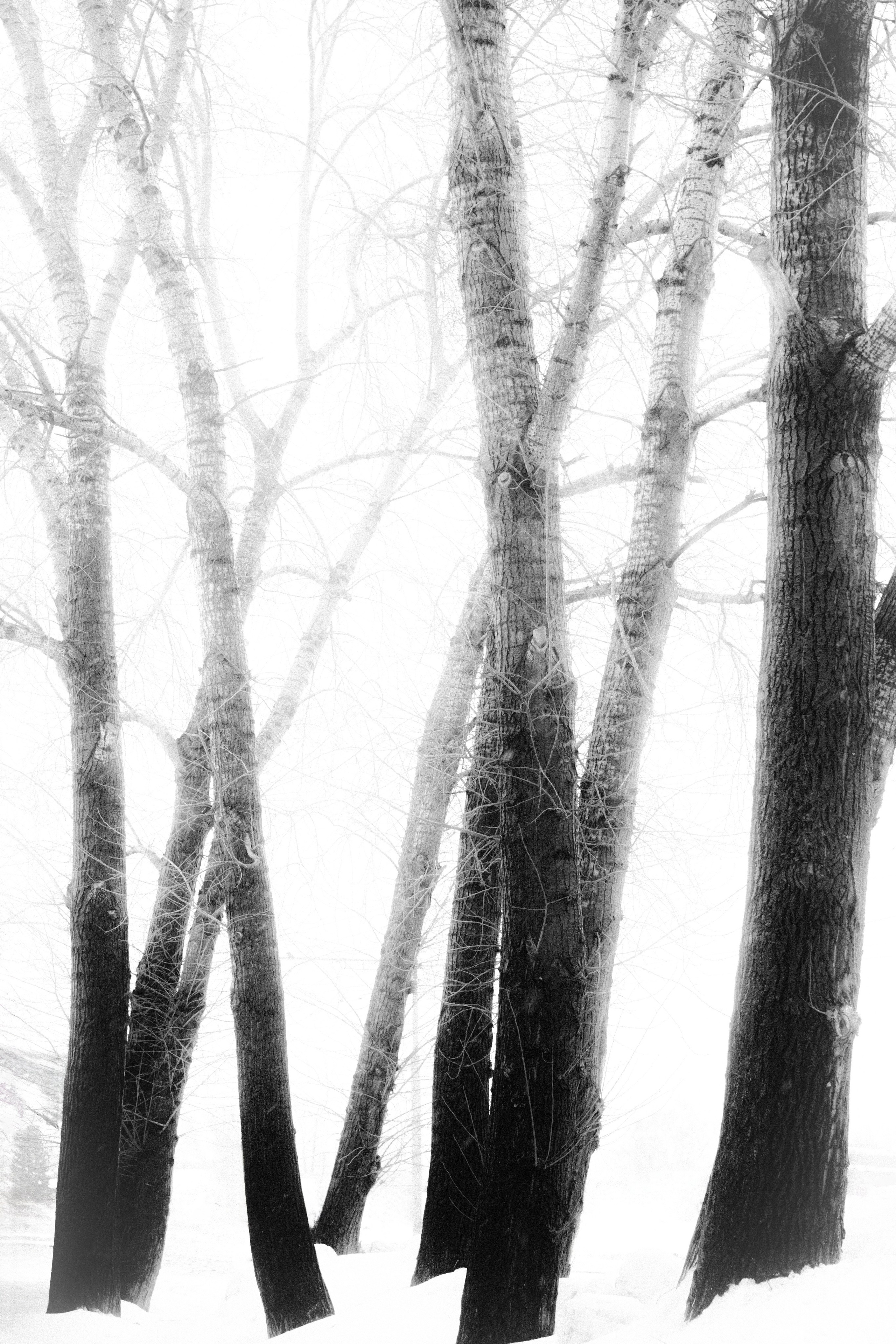 Через Черем. Veronika Popadeikina Photographer