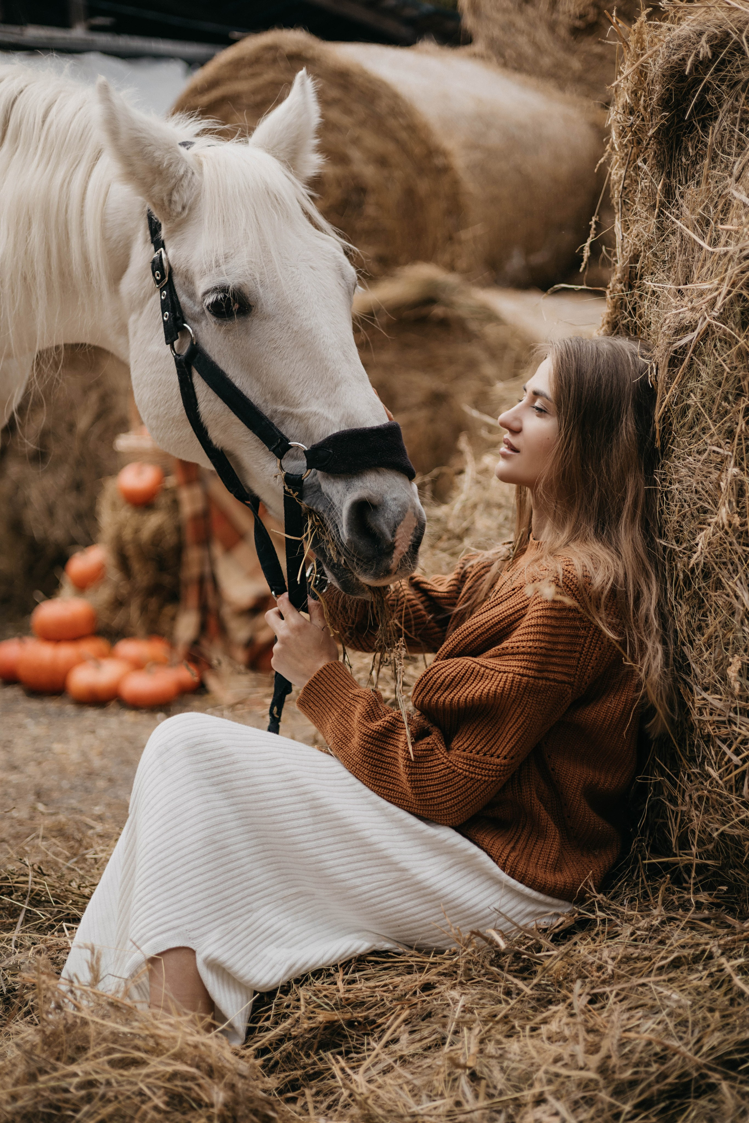 Конная фотосессия. Фотограф Новосибирск Алина Клименкова