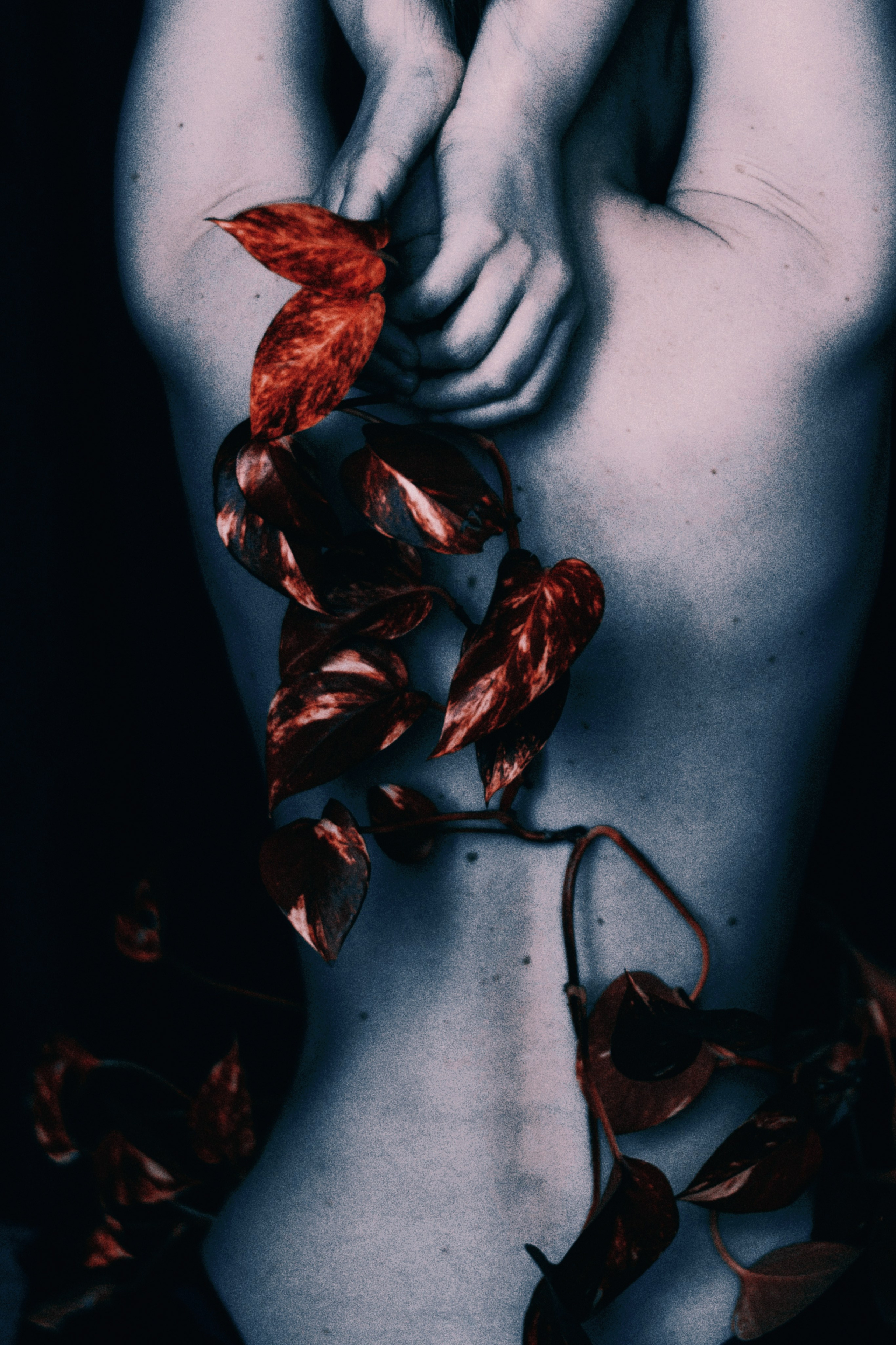 Проект «Быть дома». Фотограф Дарья Мустафина, Тюмень