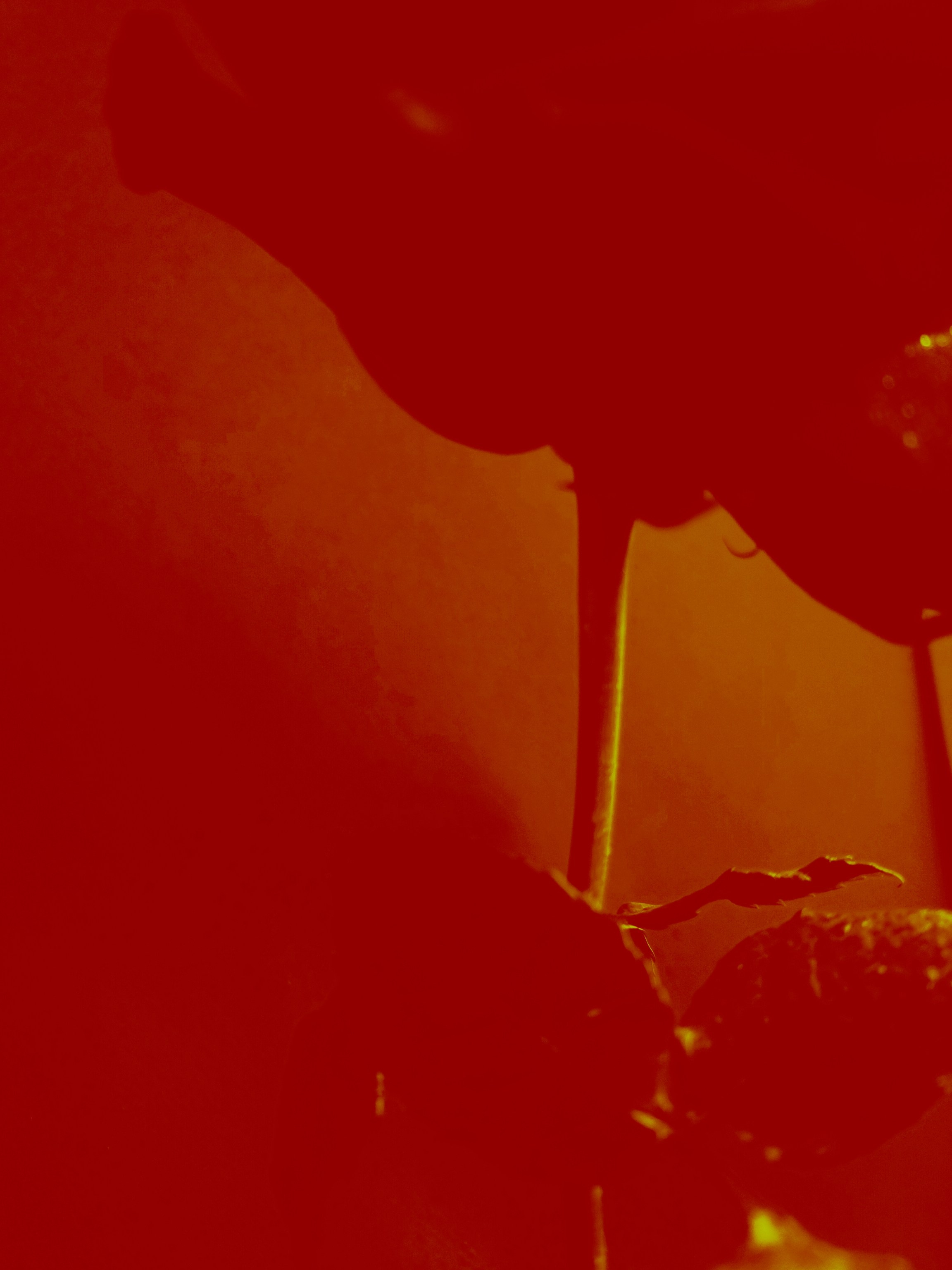 Фотограф из Санкт-Петербурга/Катерина Зайцева