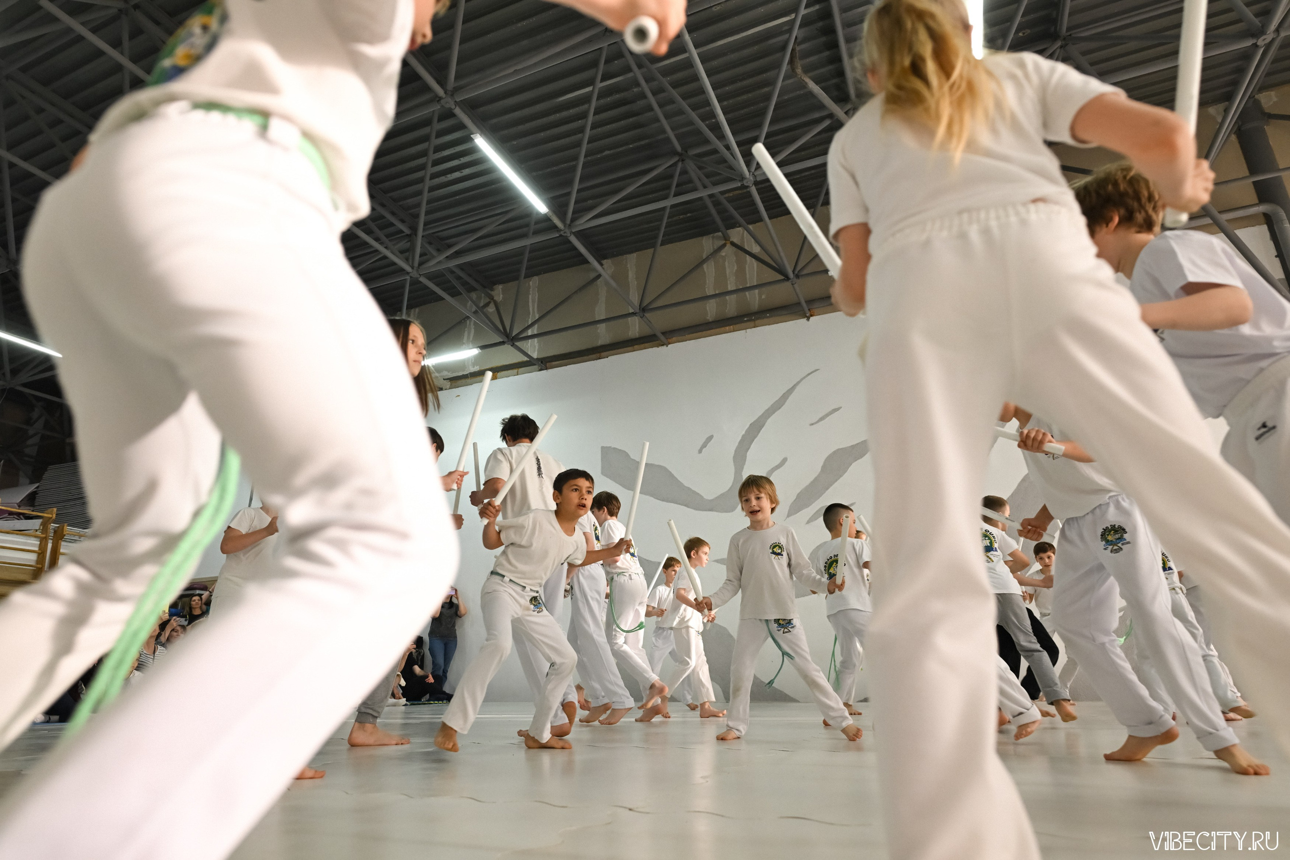 Capoeira: 4-е batizado e Troca de cordao. VIBECITY.RU Вайб Сити Ру Фоторепортажи Фотоотчеты Калининград