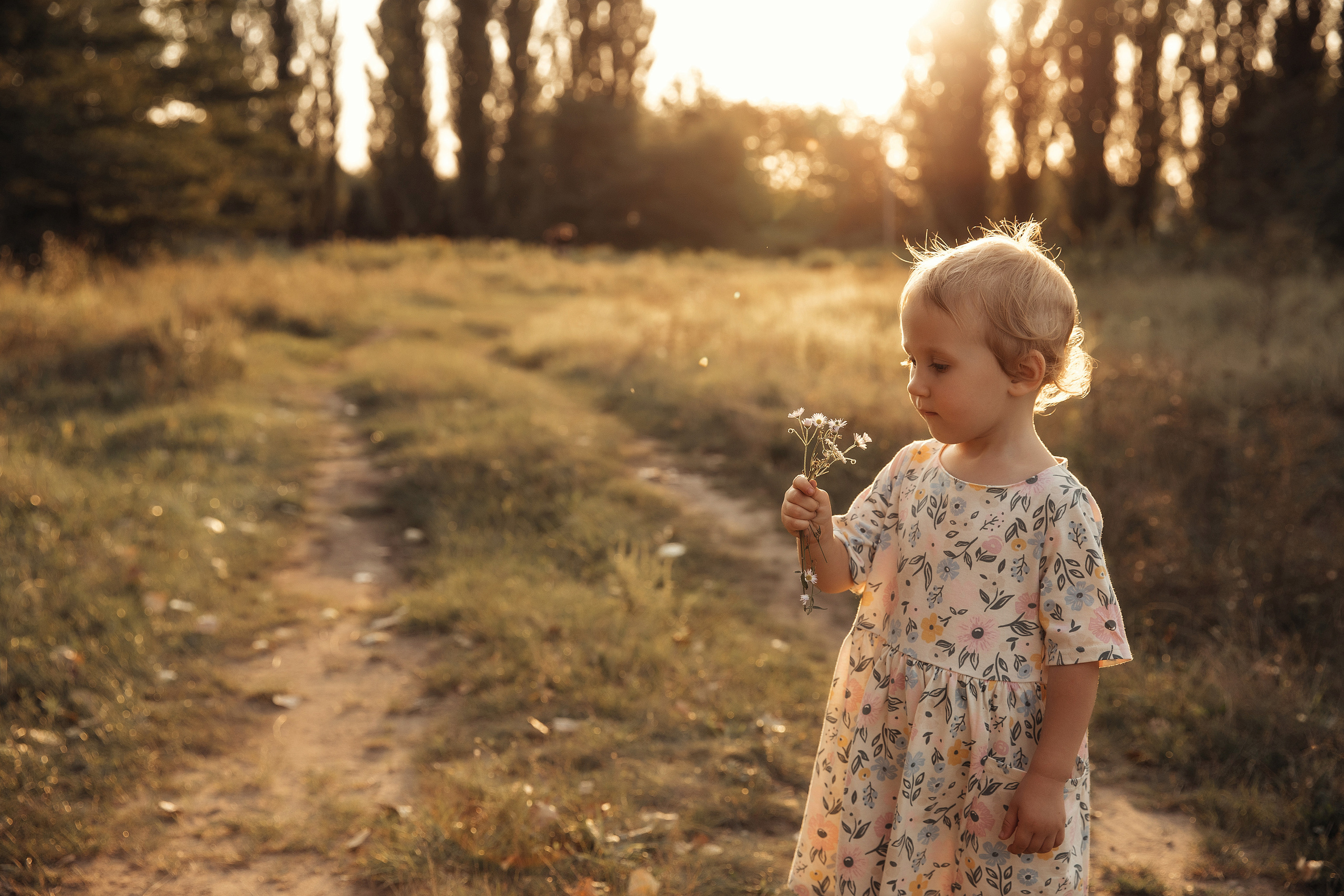 Стоимость фотосессий и мероприятий. Свадебный/семейный фотограф Майкоп Галина Кизилова