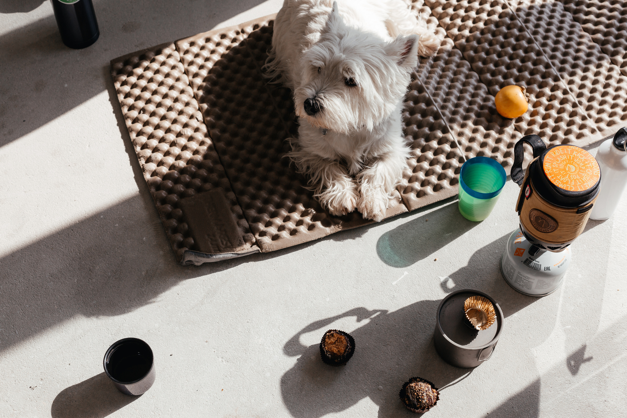 Стройка. Арина Мелехова фотограф Красная Поляна