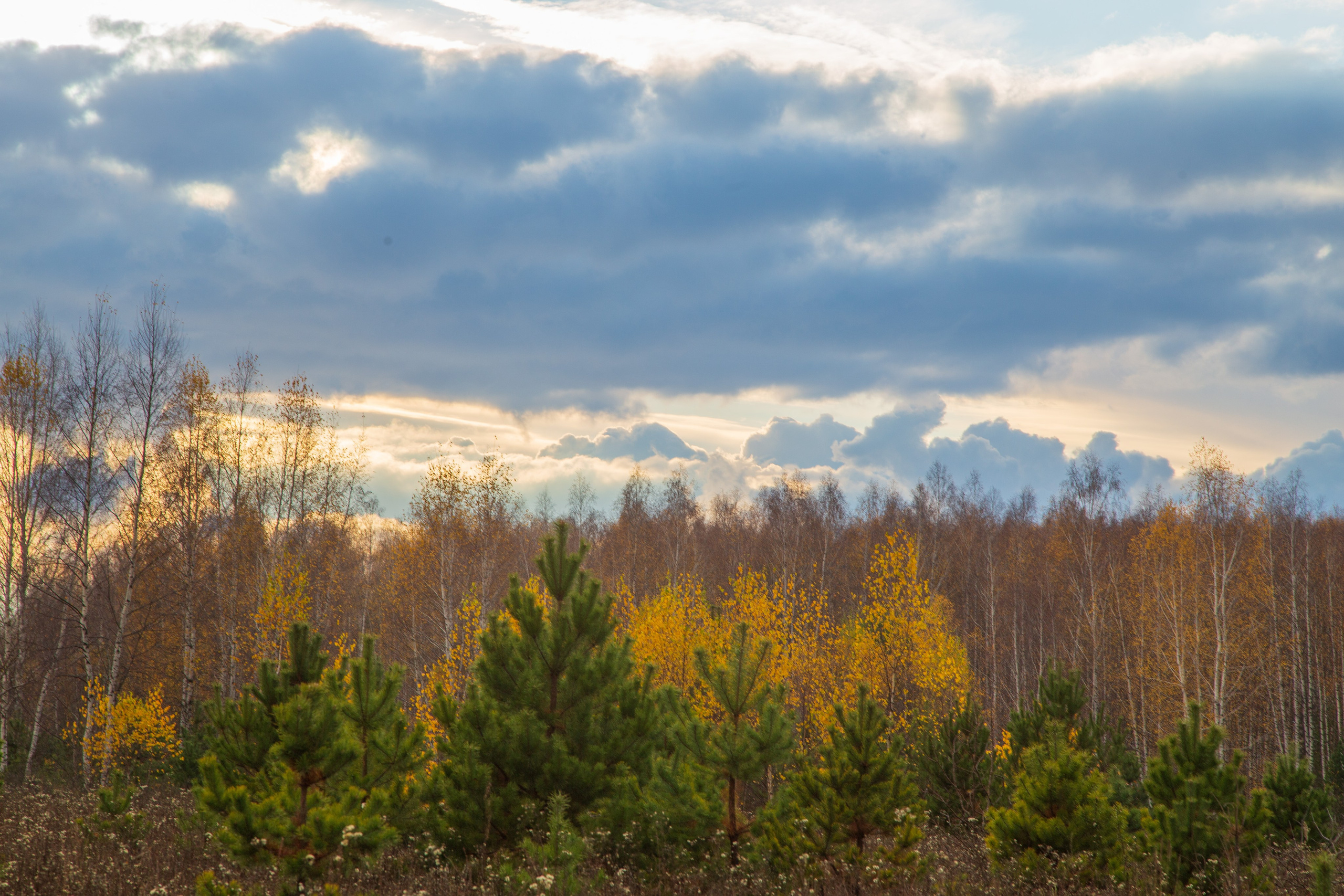 ТВОРЧЕСТВО. Творческая студия АЛНИфото