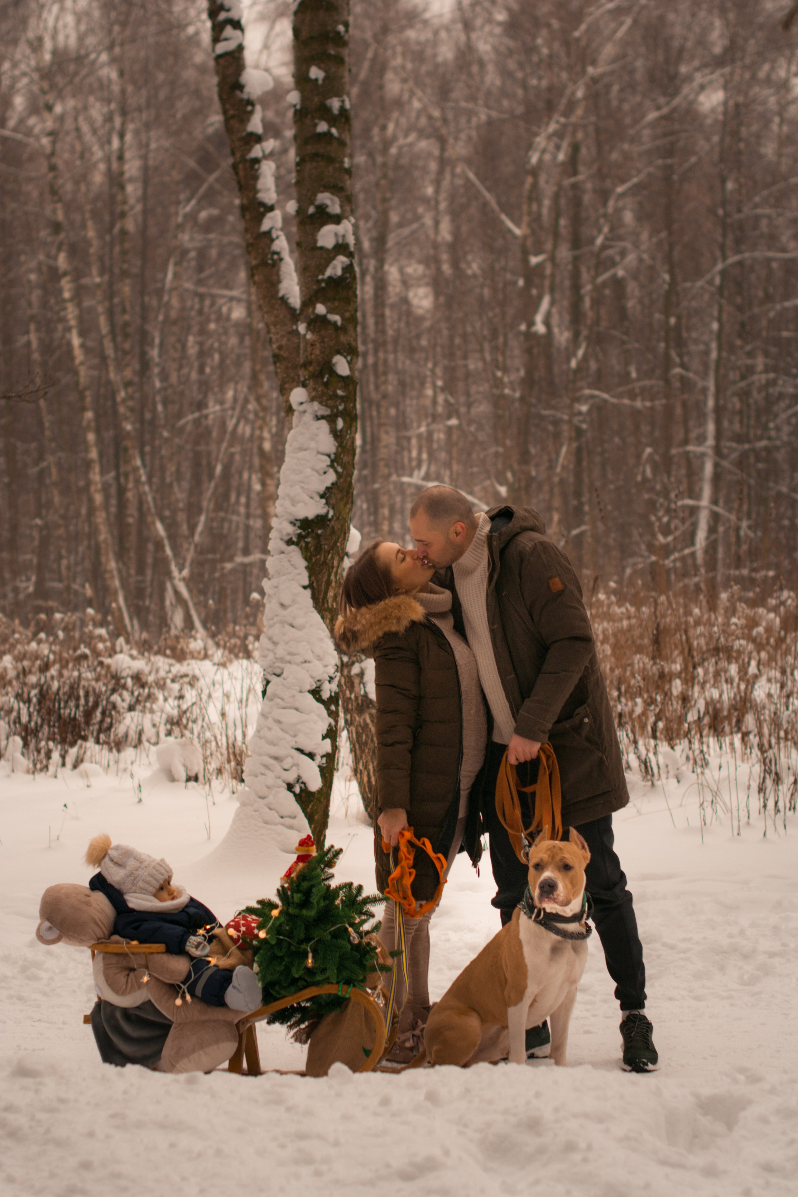 Прогулка в зимнем лесу. Парк Измайлово. Фотосессия беременности — Крылова Натали — Москва