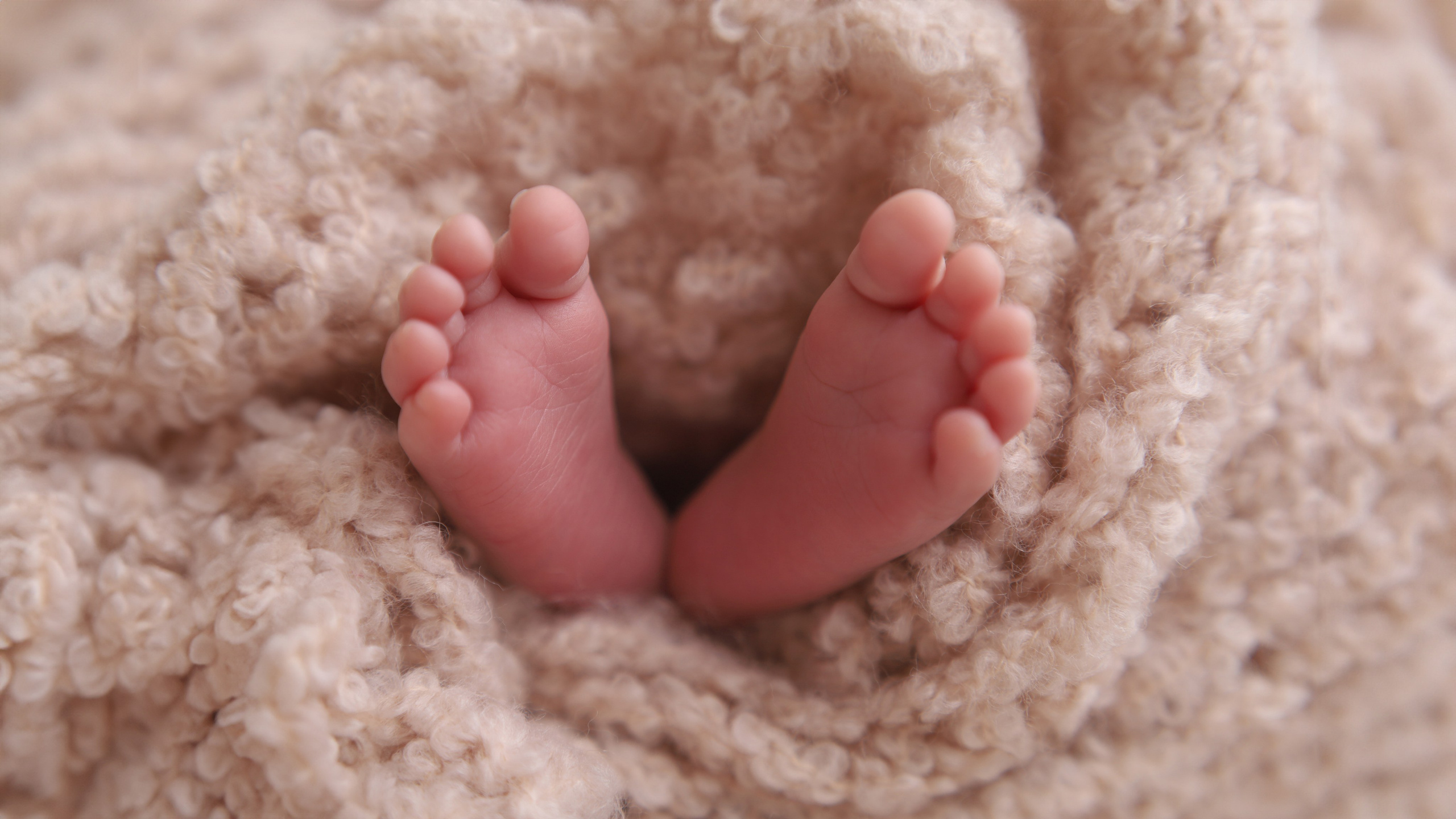 Фотограф новорожденных в Москве Кристина Левит