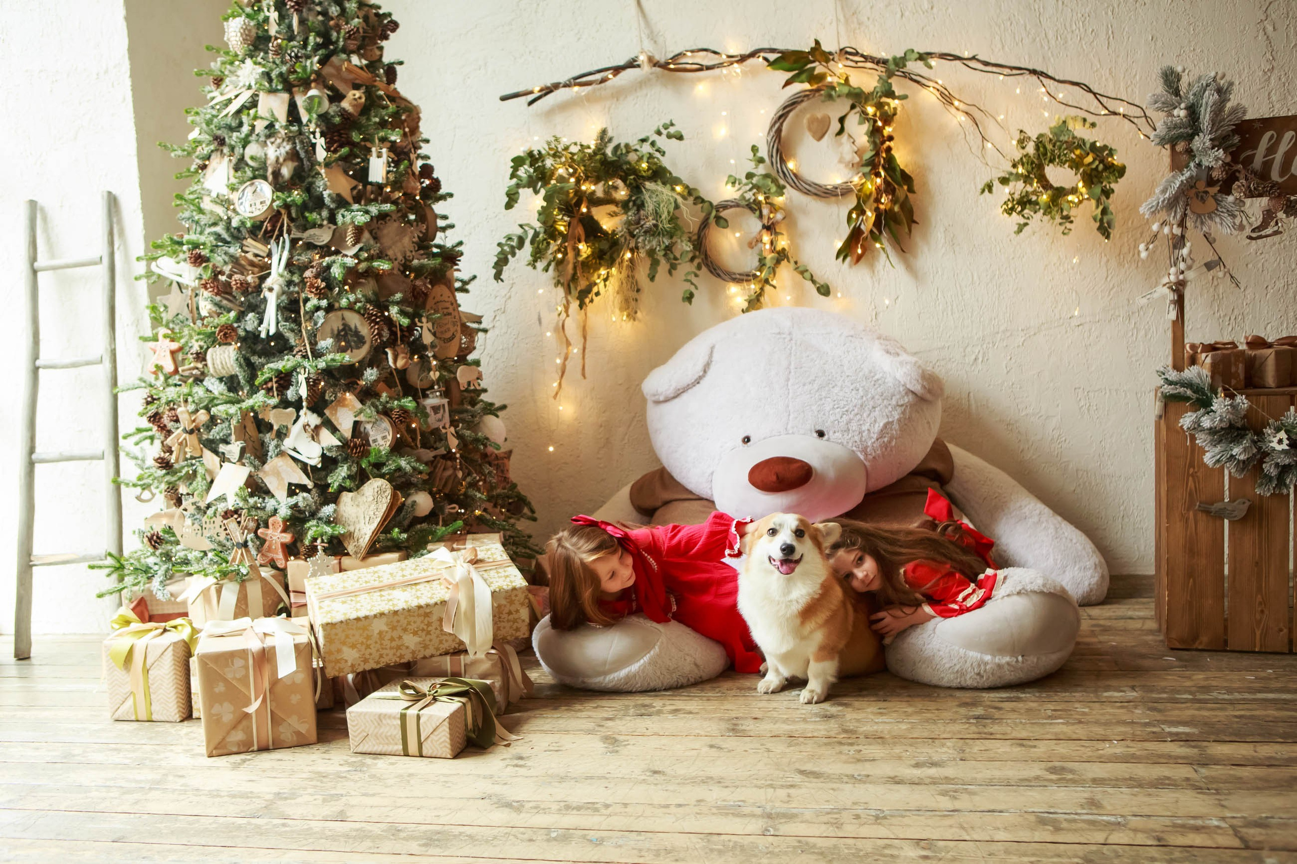 Фотосессия с корги, осенняя фотосессия с корги, аренда корги. Семейный и детский фотограф в Москве Мария Быкова