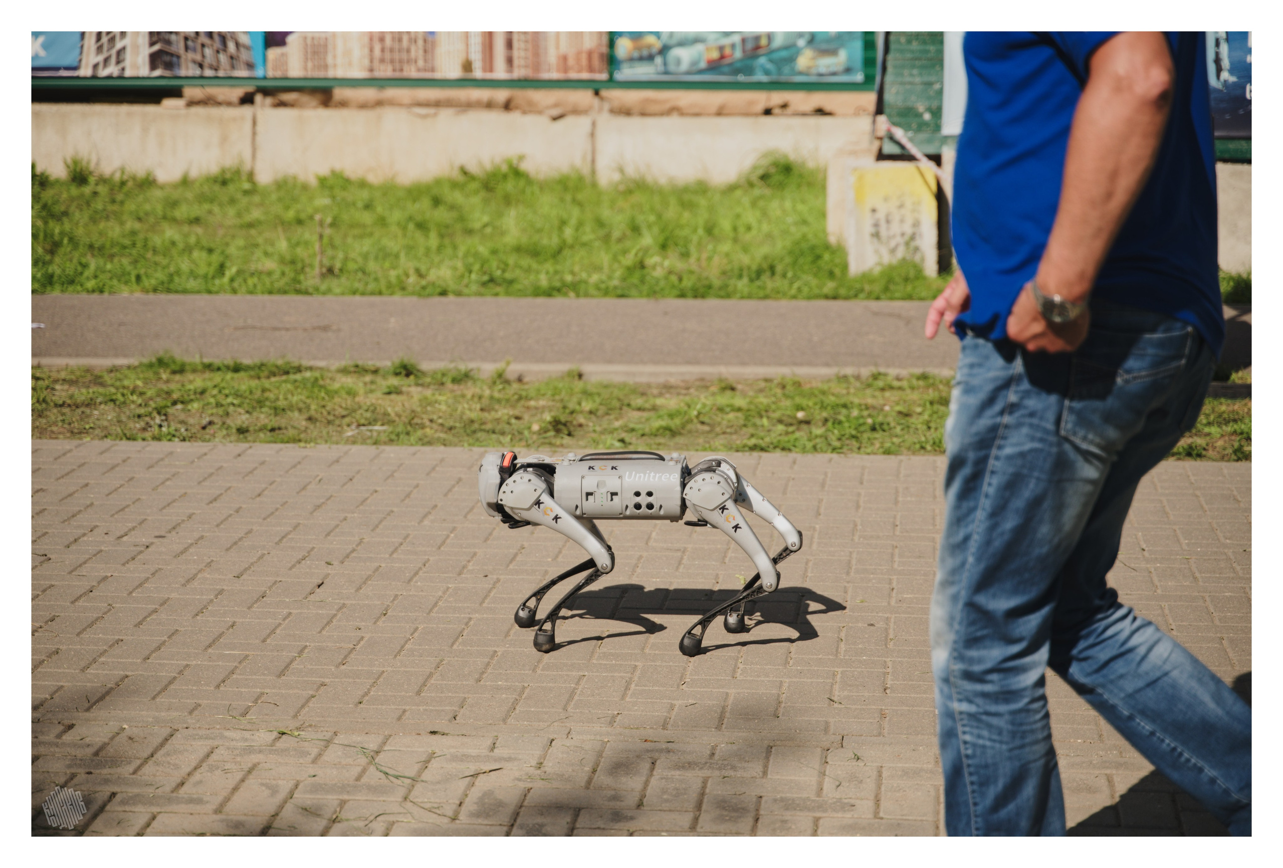 Робосубботник КСК. Фотограф в Иваново: Каталожная съемка одежды и постельного белья, Wildberries