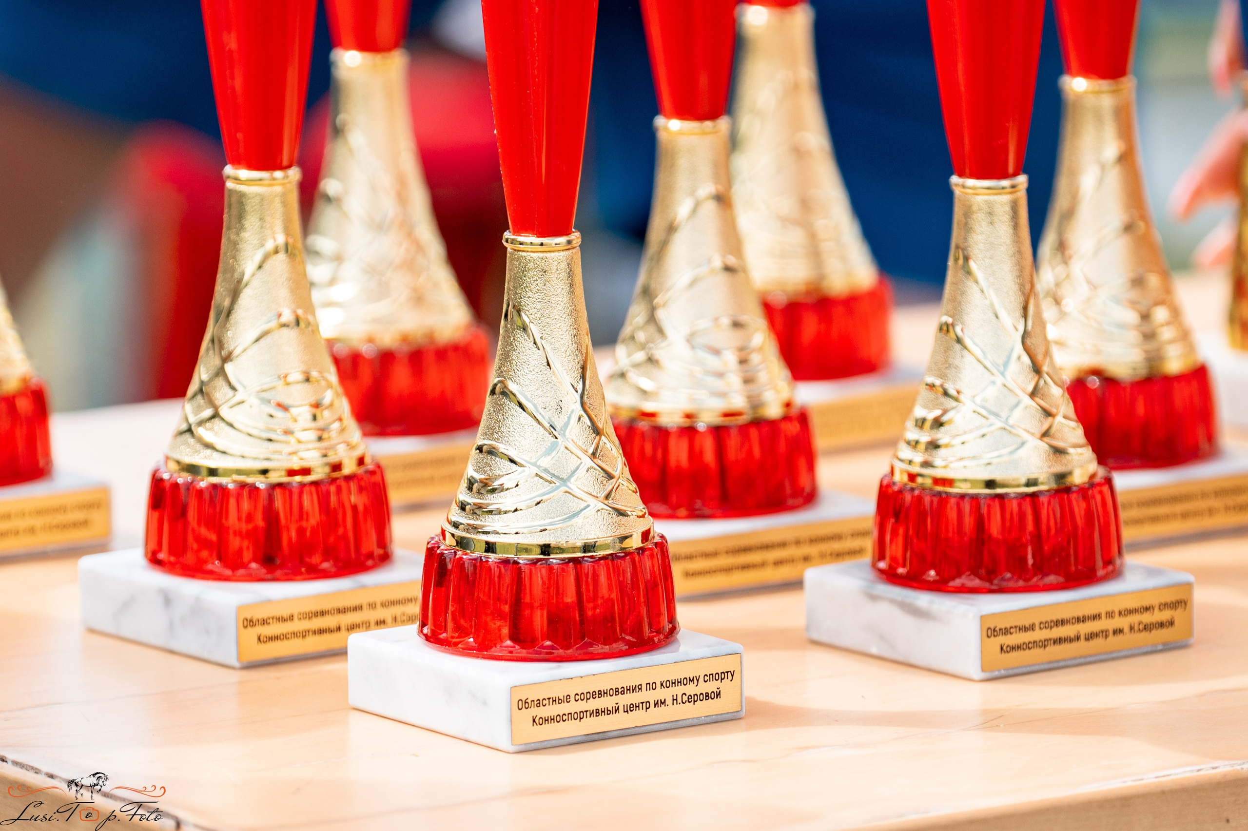 Областные соревнования по выездке. Тверь. Конный и фотограф с животными в Твери Топталова Люся