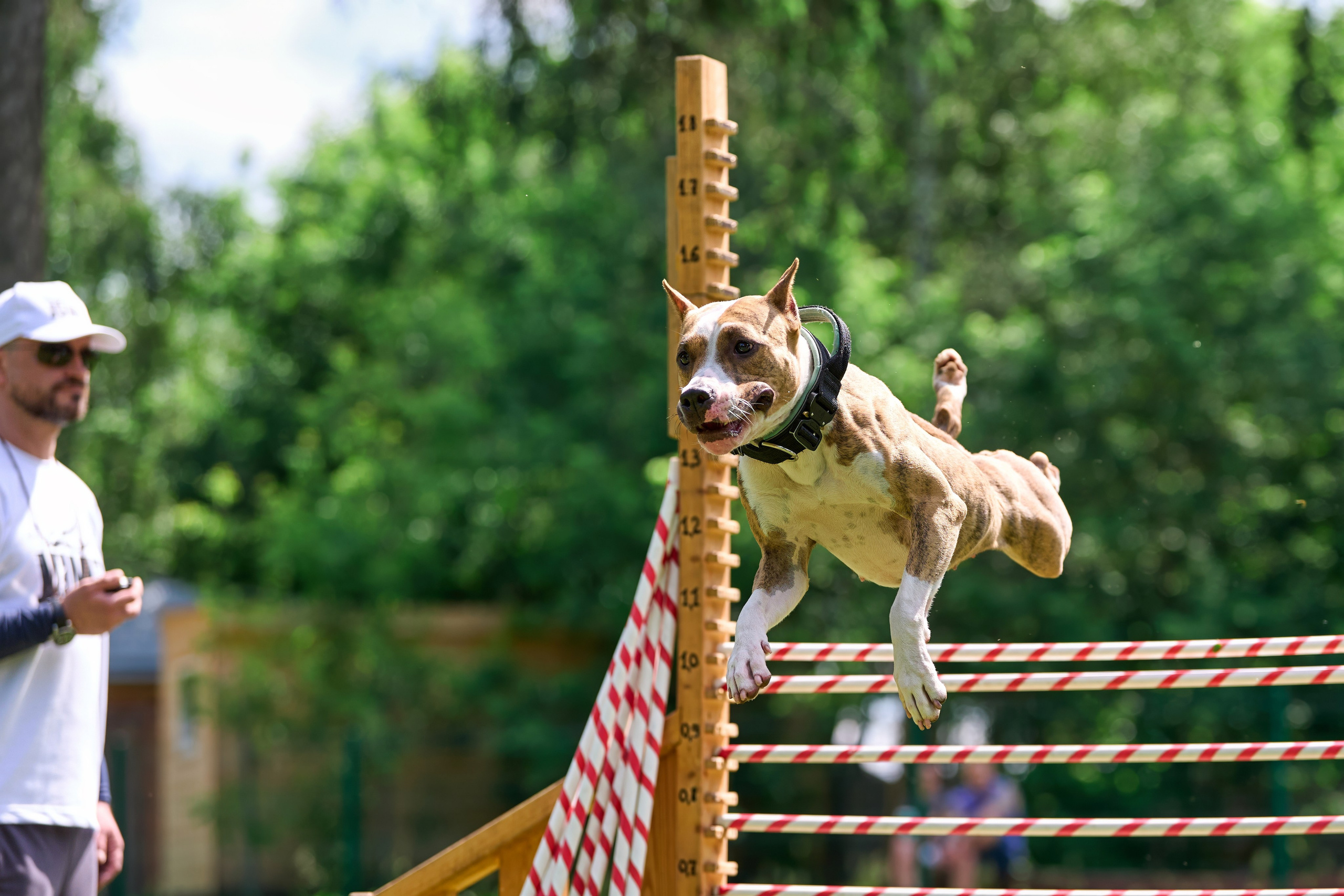 Двухдневные соревнования «Jump'n'Gym Fest — 2024». Фотограф-анималист Михаил Манухин