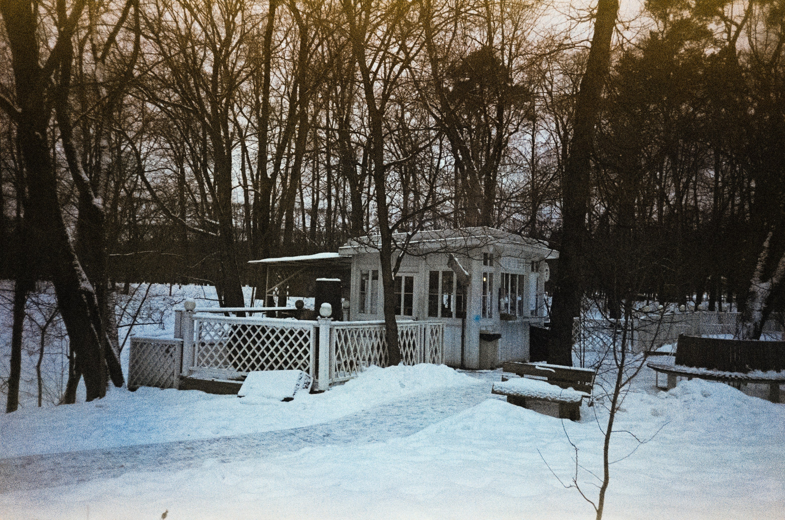 Fujicolor Superia 200 (просрочка) / Cosina CX-1 / 6 января 2025 года Усадьба Архангельское