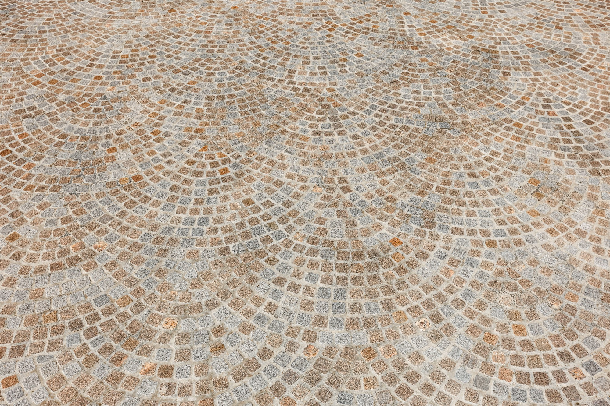 Новый Херсонес в Севастополе, гранитная облицовка Росгранит. Свадебный фотограф, фотосъемка в Крыму, Севастополе, Симферополе, Ялте