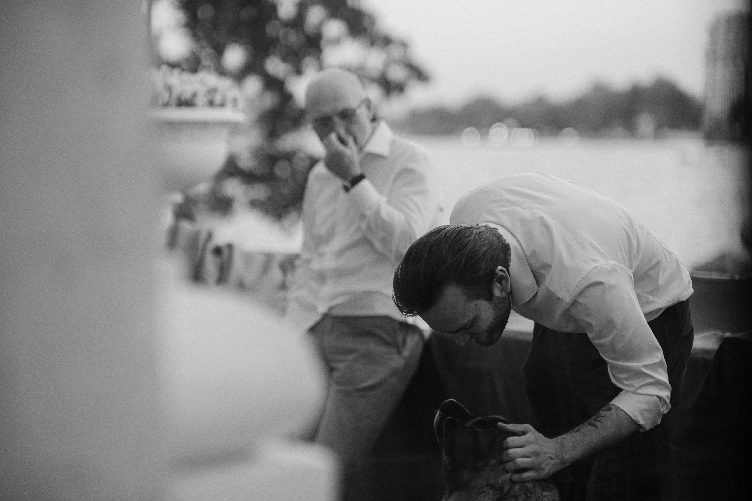 Love&Paws. Сентиментальная свадебная фотография