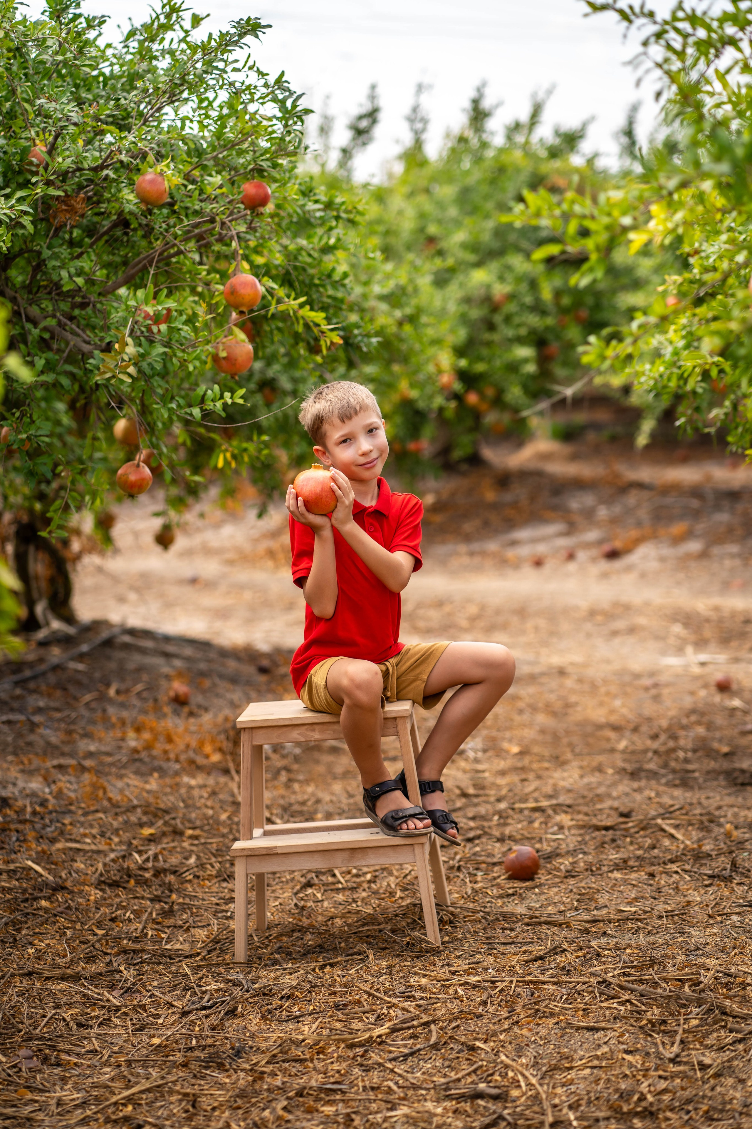 Гранатовый сад. Семейный и детский фотограф в Израиле и Москве Дорошок Надя