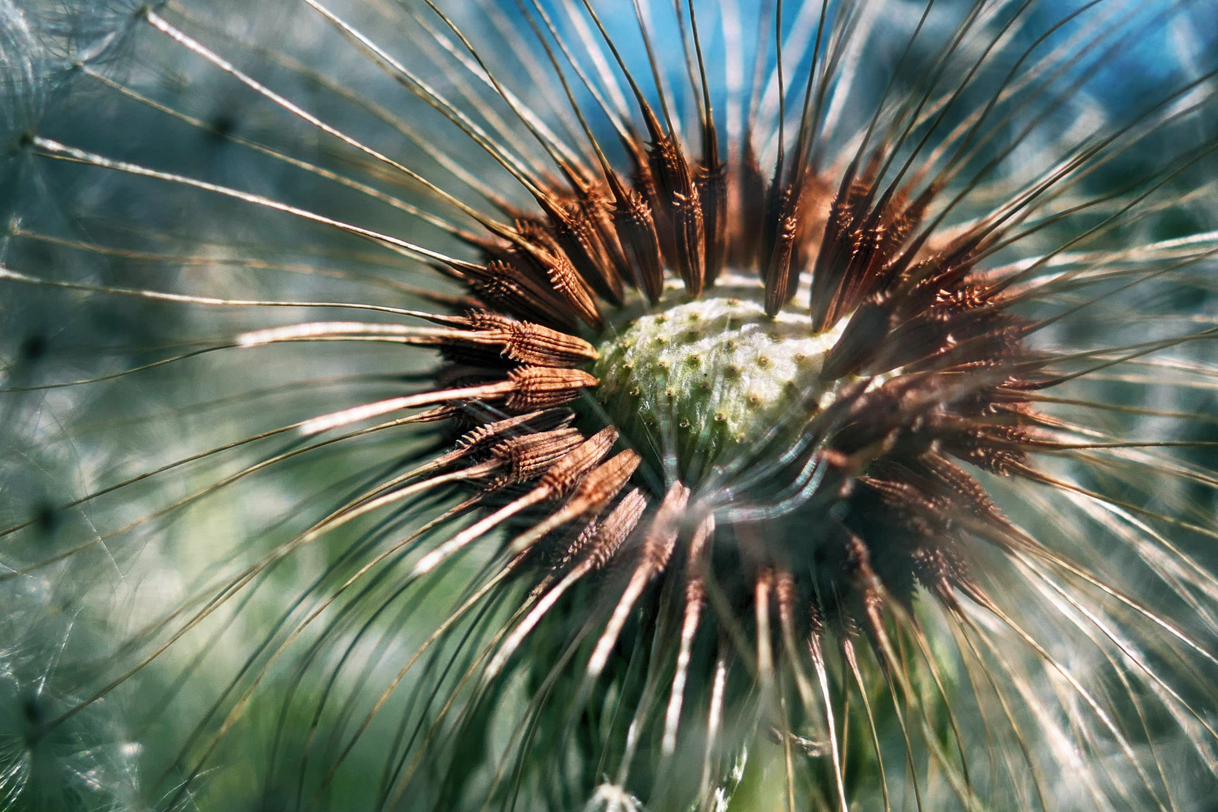 Фотошкола и фотокурсы в Абакане