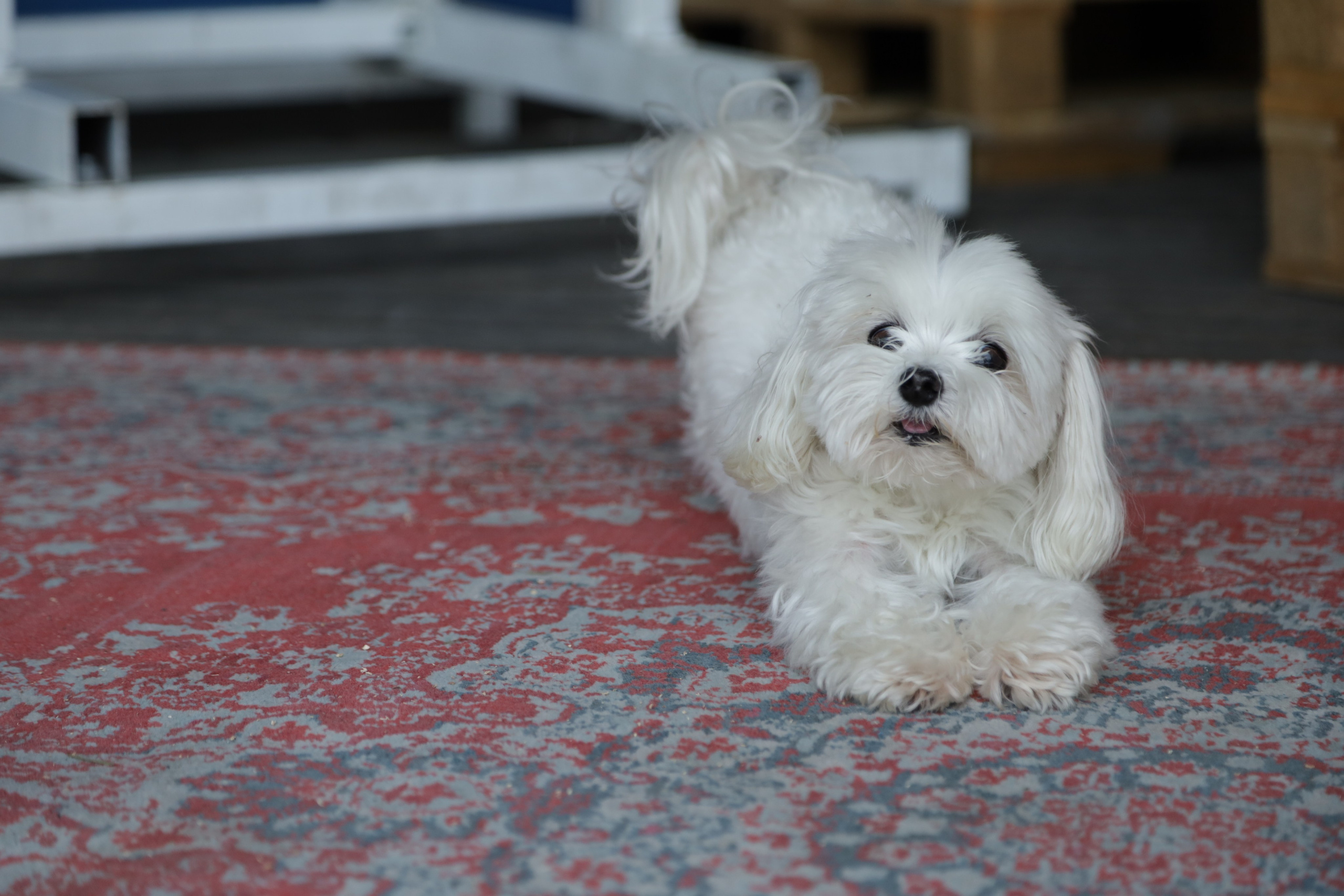 Фотосъемка детского Дня Рождения на скалодроме. Любовь Каширская — фотограф для малого бизнеса и специалистов