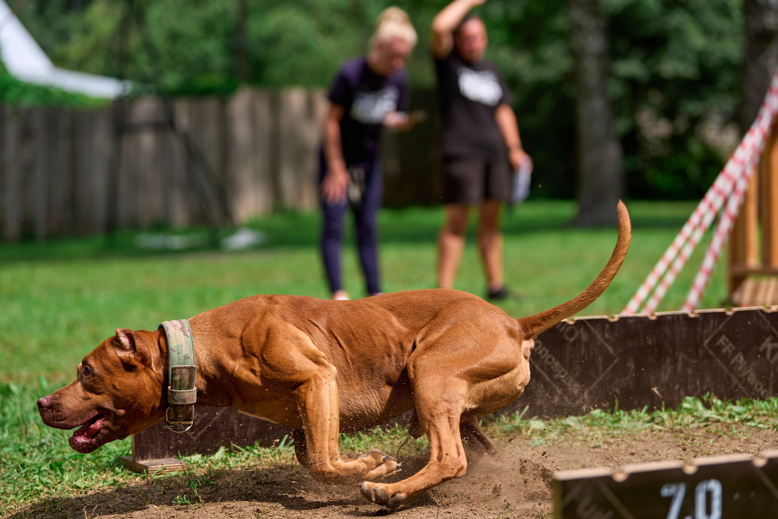 Jump'n'Gym JUMP! — 2024. Фотограф-анималист Михаил Манухин