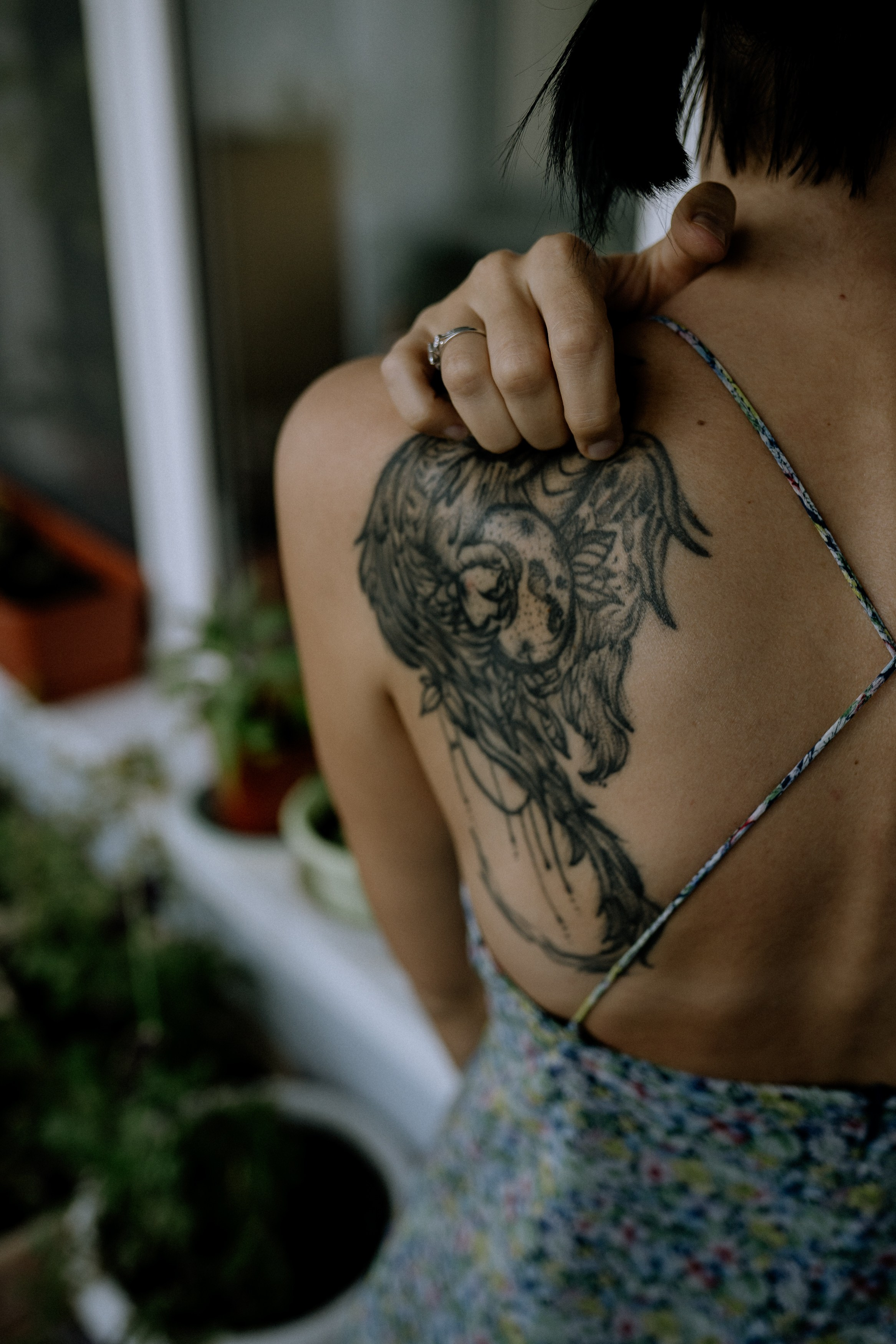 Мир, где рожден помидор. Андрейко Надежда