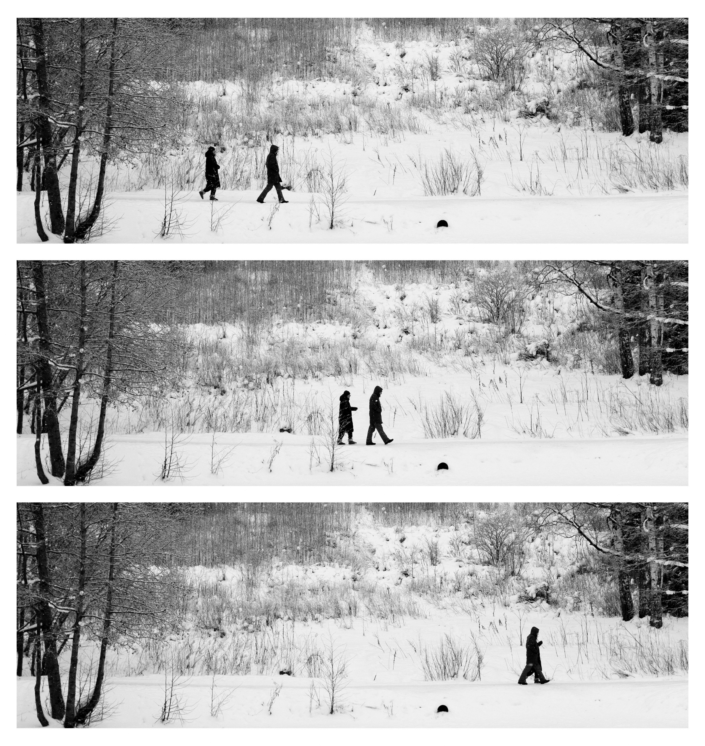 Фотограф Даниил Богомолов, Санкт-Петербург