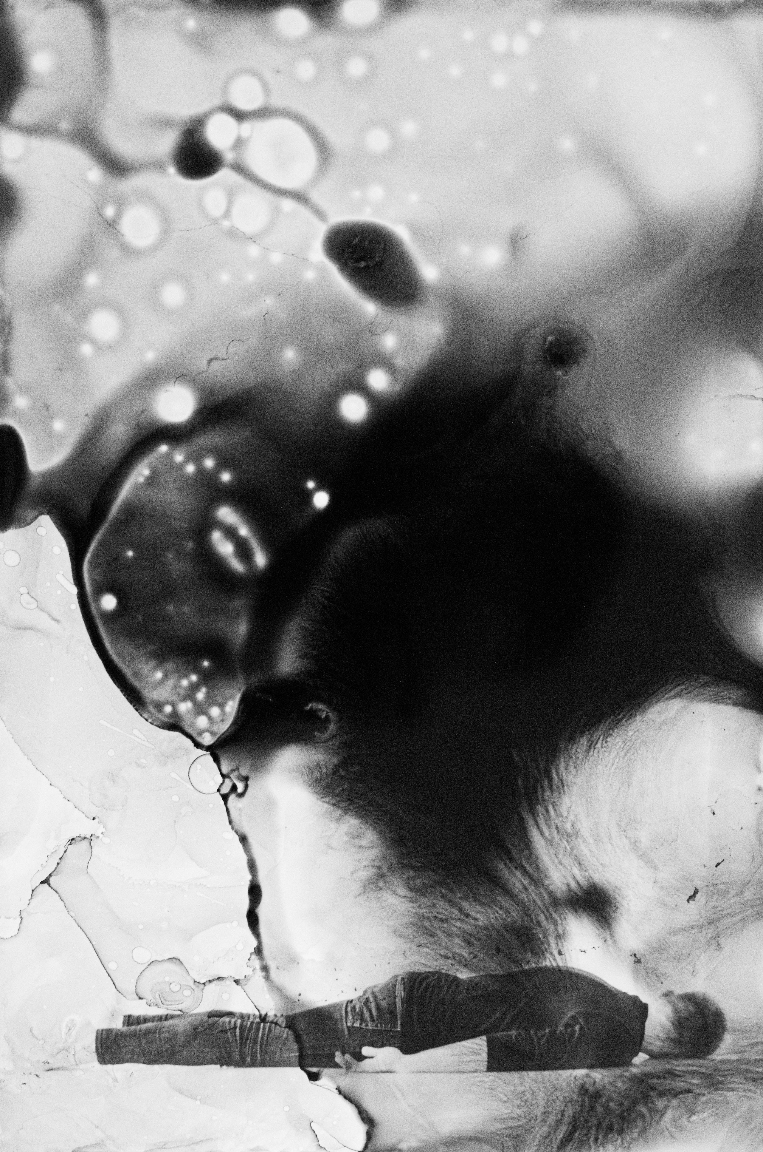 Dima Bartenev self-photography