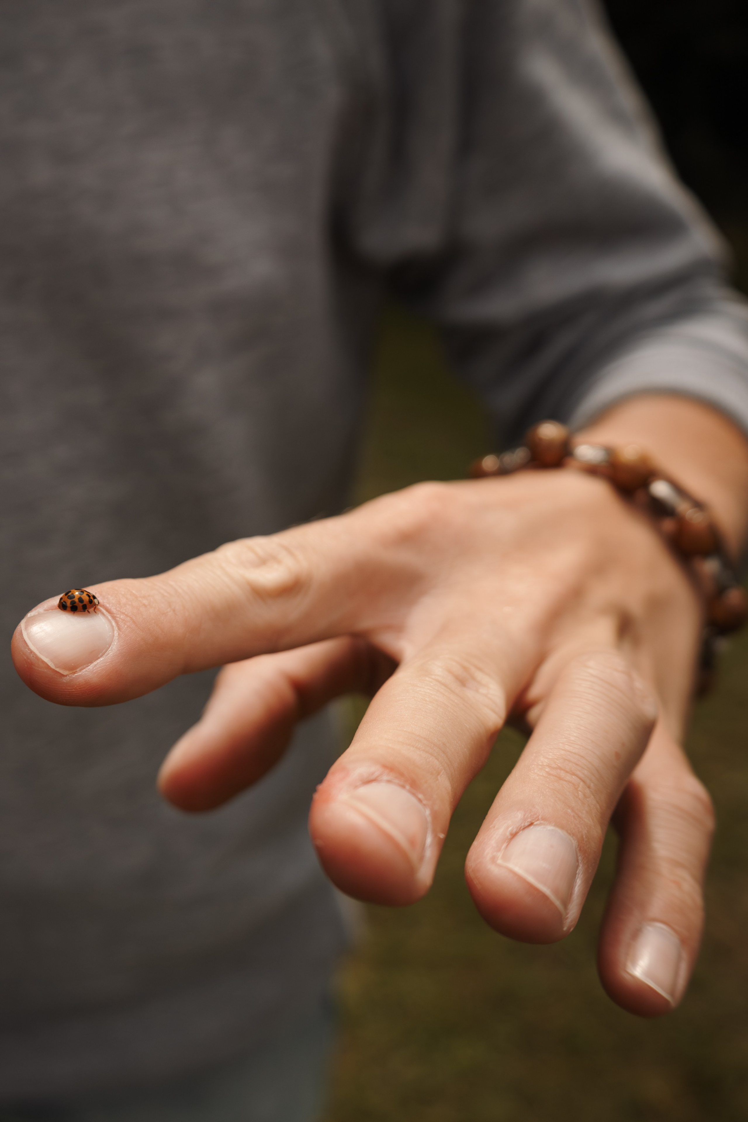 Фотосессия для пары в Коломенском. Фотограф-анималист в Москве Екатерина Тихонова