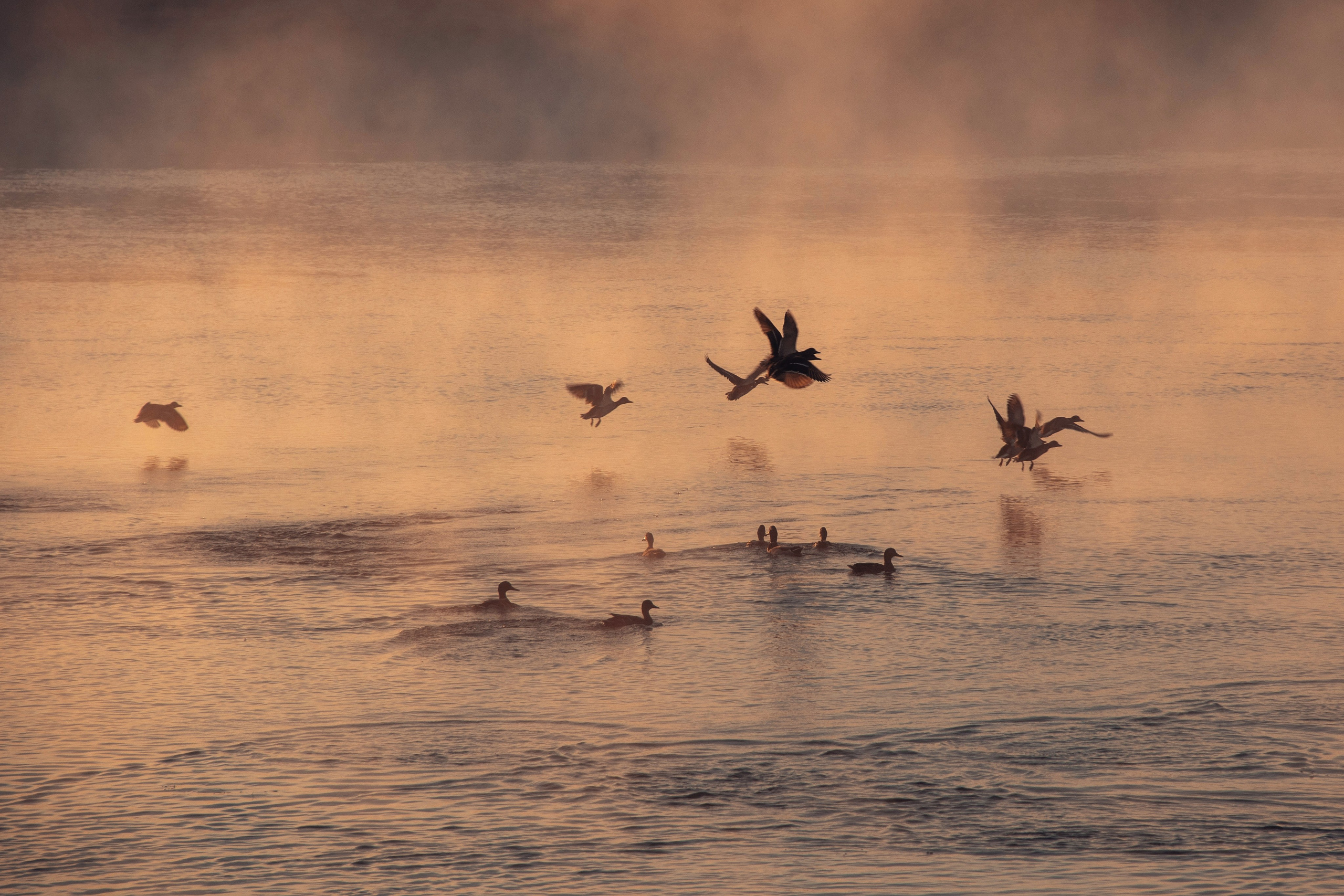 Волшебное утро в первый день октября. С любовью, фотохудожник