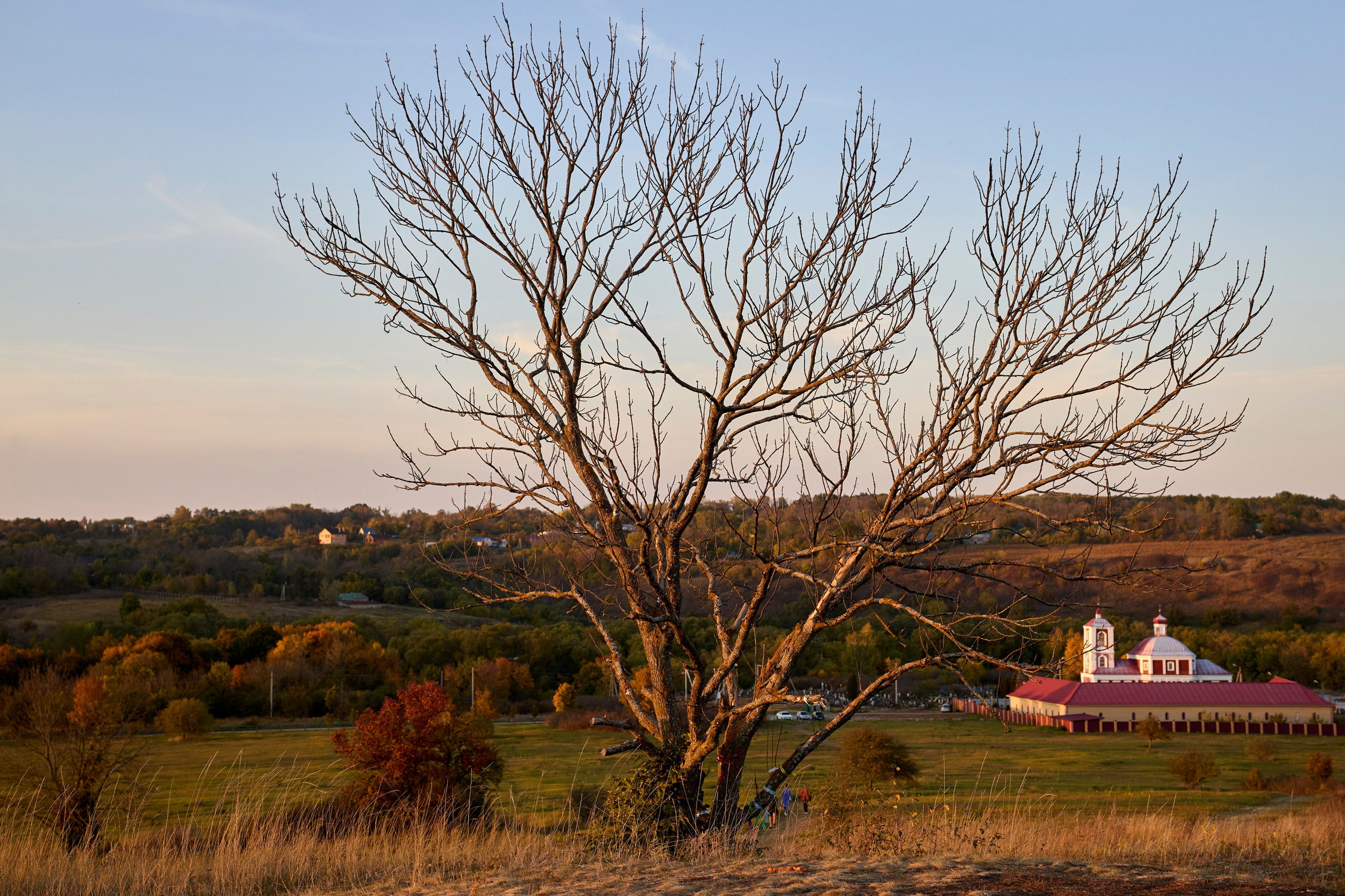 Вот она, та самая загадочная Кудыкина гора! Место сильное, красивое и очень гостеприимное. Отсюда, с вершины, открывается потрясающий вид на древний Дон. Кажется, будто стоишь на краю света, и перед тобой — вся великая история этой реки. Особенно волшебно здесь на закате, когда солнце окрашивает воду и небо в золотые и розовые края. Природа настоящая, степная, дышится очень легко. И вот среди этой природной мощи встречаешь удивительные рукотворные вещи. три богатыря сидят на поле. Отдыхают и ждут пока приготовится ужин. Или «Хоровод» на самой вершине. фигуры, взявшись за руки, словно охраняют покой этого места. Чувствуется какая-то особая сила и энергетика. Отличный повод задуматься о вечном и сделать классные кадры! Но главный сюрприз, ради которого многие и едут — ждёт в конце. Тот, кто даёт понять: вы действительно на Кудыкиной горе! Вот он, местный житель — огнедышащий Змей Горыныч. Теперь та самая поговорка «На Кудыкины горы воровать помидоры» звучит особенно смешно! Потому что с таким стражем ни о каких помидорах и речи быть не может. Его дело — охранять покой и устраивать по-настоящему огненное шоу на прощание. #dzen13 #желтаяшапочкаdz #кудыкинагора #тревел #змейгорыныч #топ