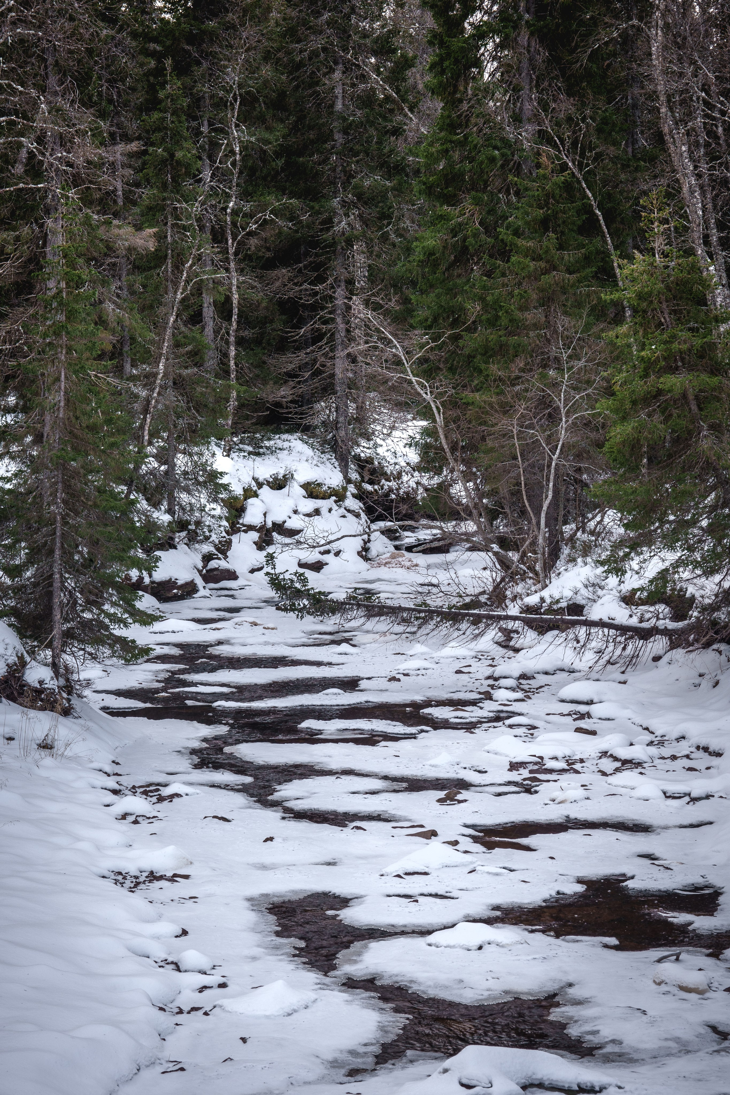 Предзимье на Кольском