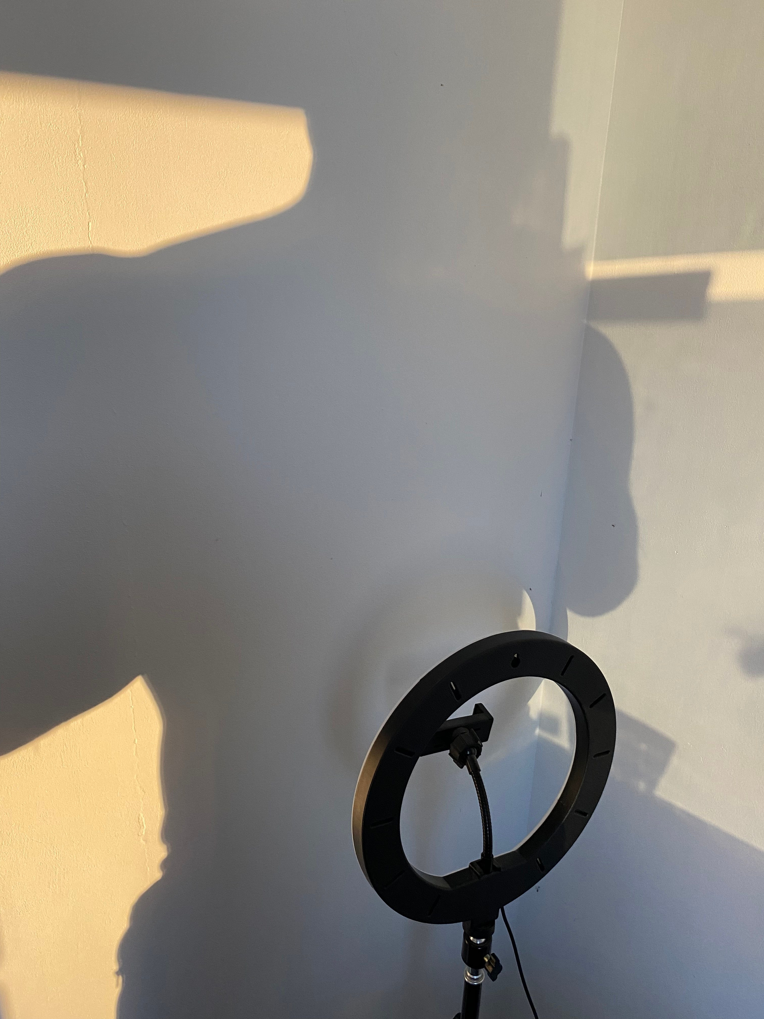 Единство потока