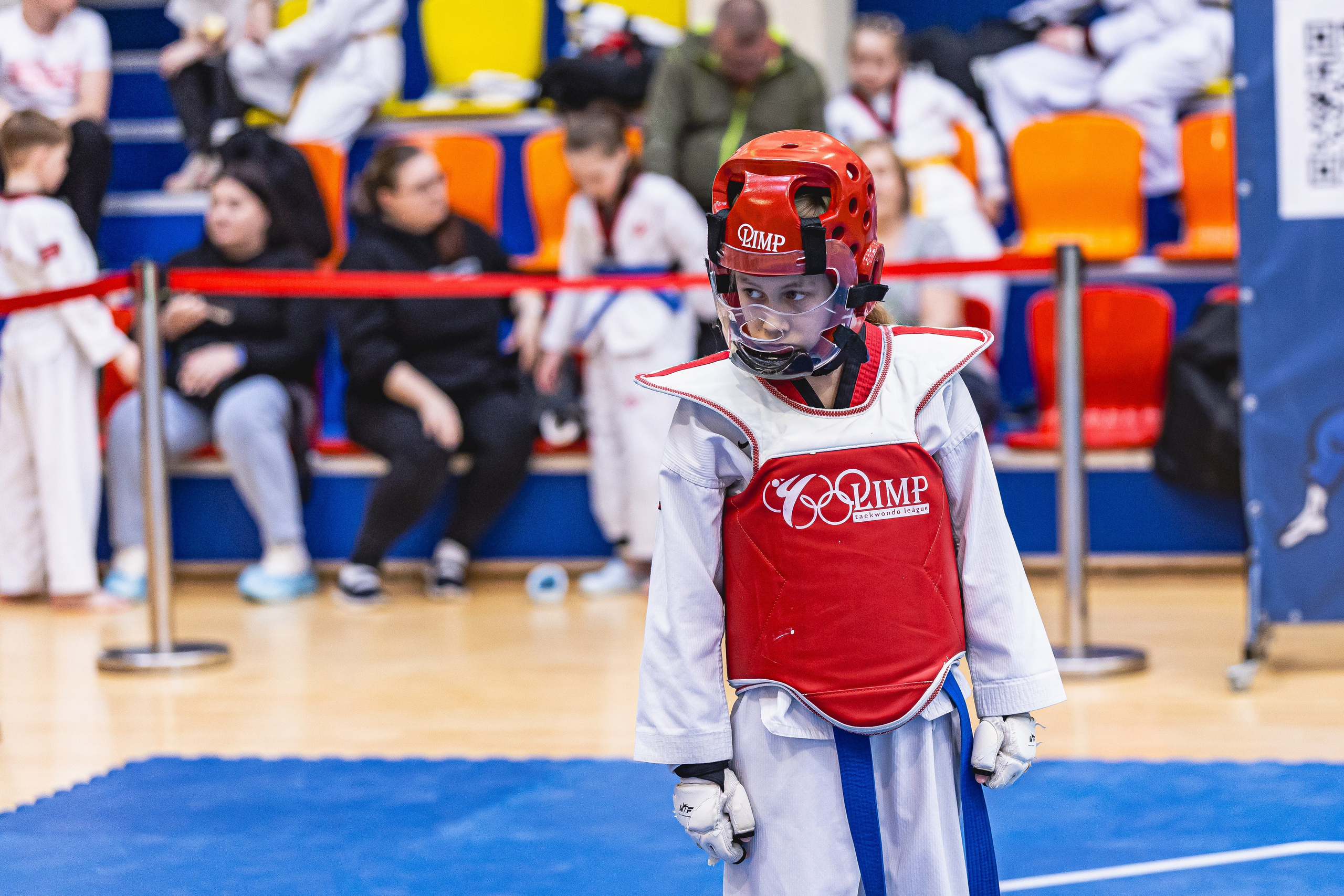 Турнир ВДЮФСОО «ФЕДЕРАЦИЯ ДЕТСКОГО ТХЭКВОНДО РОССИИ» и МОО СПКЕ «ЭРИДАН» по «СПОРТИВНОМУ БОЮ КЕРУГИ». Спортивный фотограф Максим Серегин