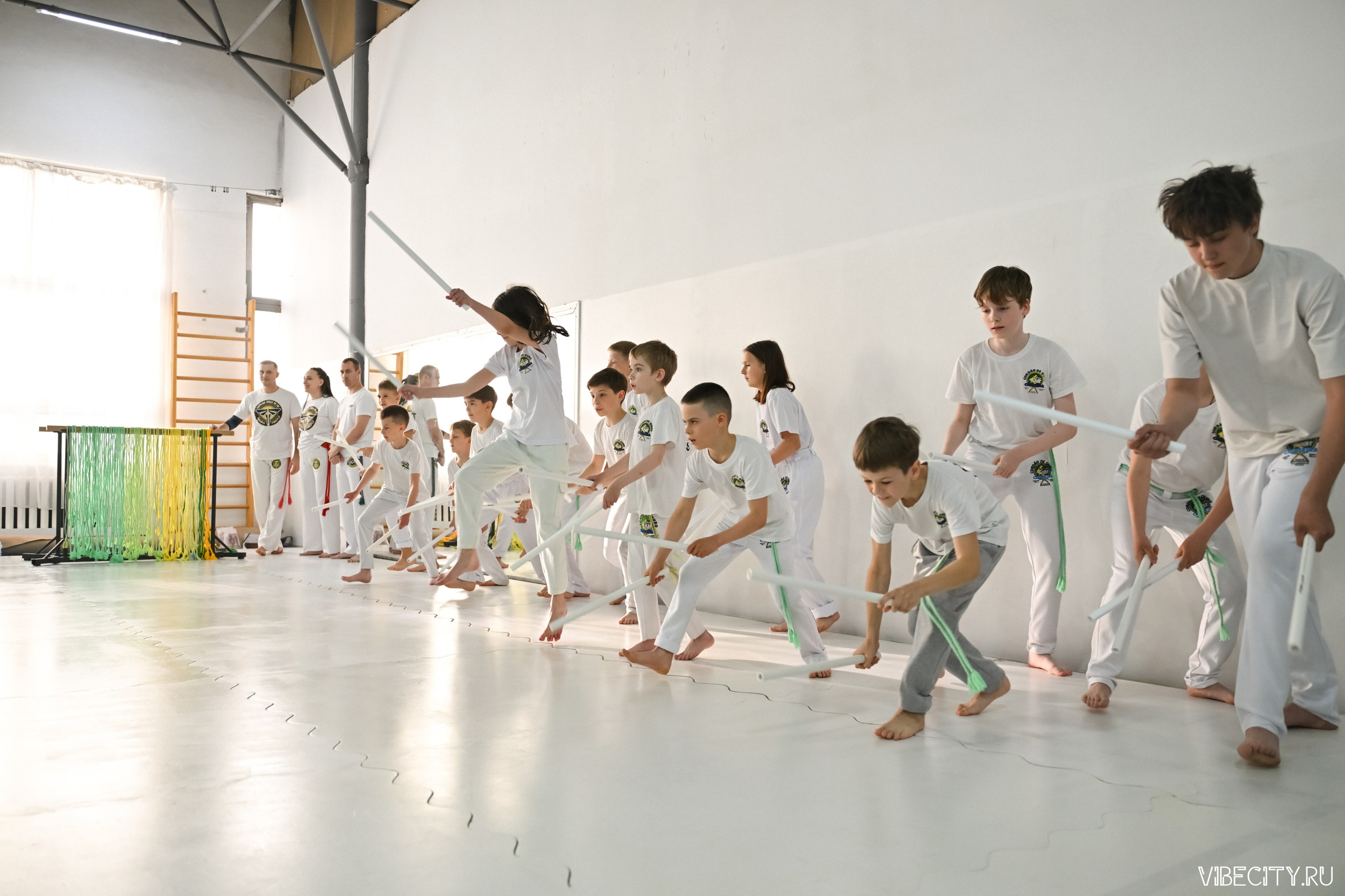 Capoeira: 4-е batizado e Troca de cordao. VIBECITY.RU Вайб Сити Ру Фоторепортажи Фотоотчеты Калининград
