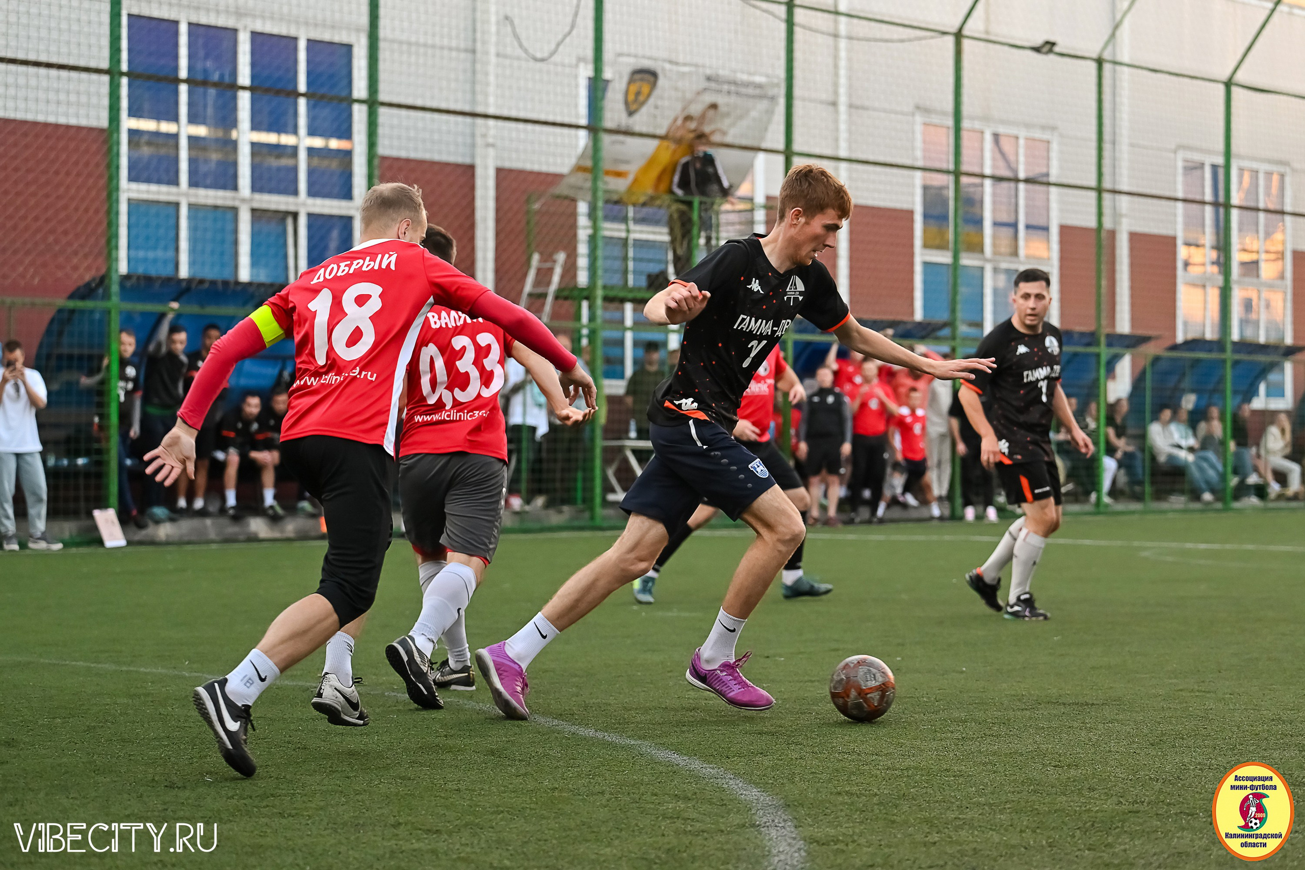 ИГРЫ МИНИ-ФУТБОЛЬНОЙ И КОРПОРАТИВНОЙ ЛИГИ. VIBECITY.RU Вайб Сити Ру Фоторепортажи Фотоотчеты Калининград