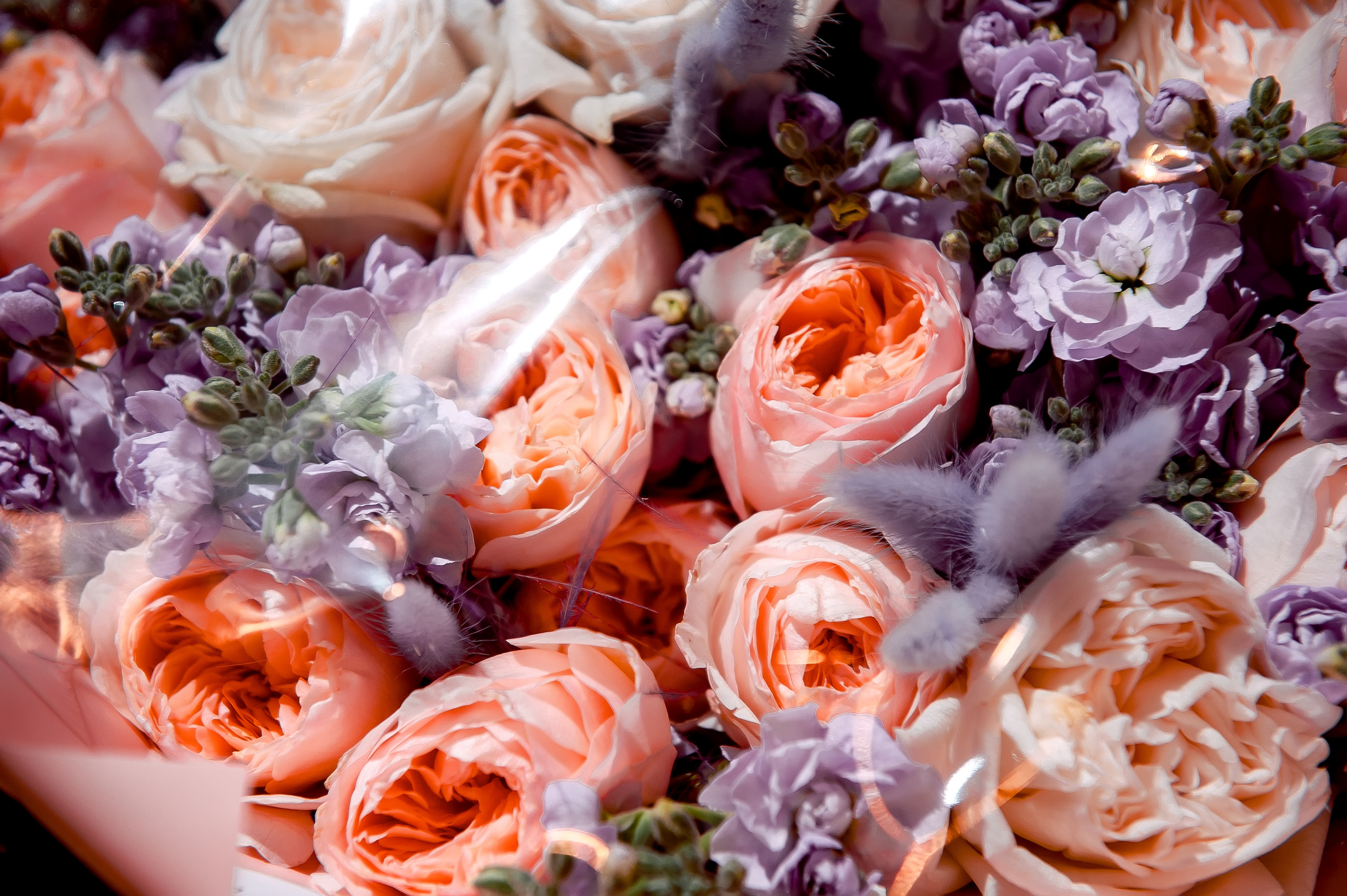 Зимняя свадьба в Лесных прудах, Щелково. Свадебный и семейный фотограф Виктория Носачёва. Щелково, Москва и МО