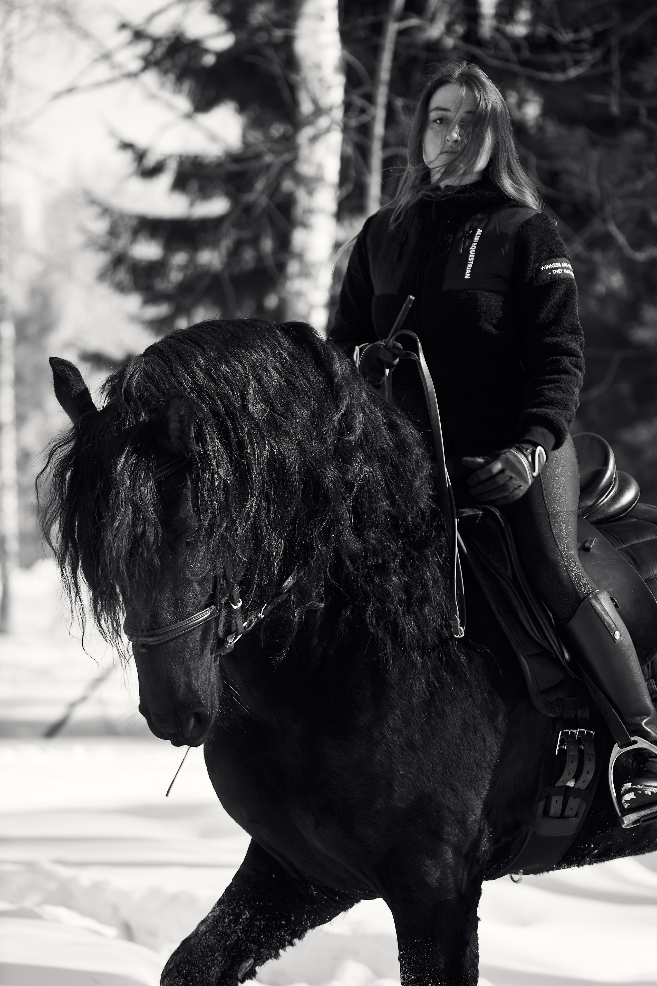 Фотосессии с лошадьми в Москве, Новосибирске